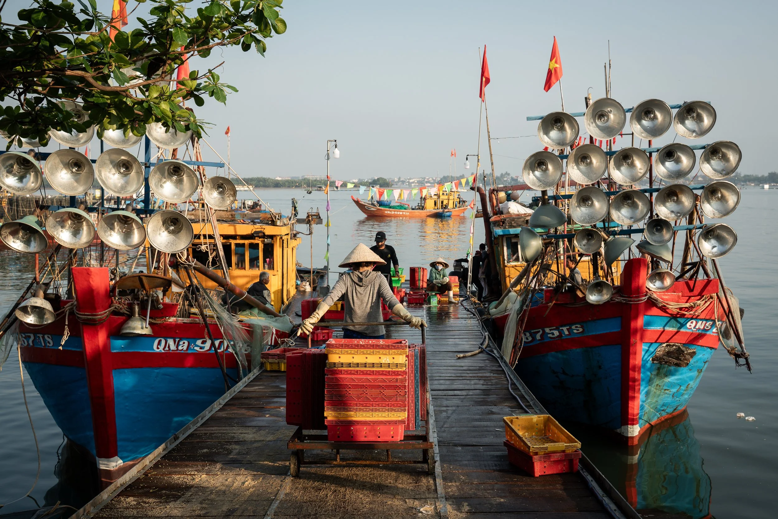 Duc Thanh, Vietnam 2026