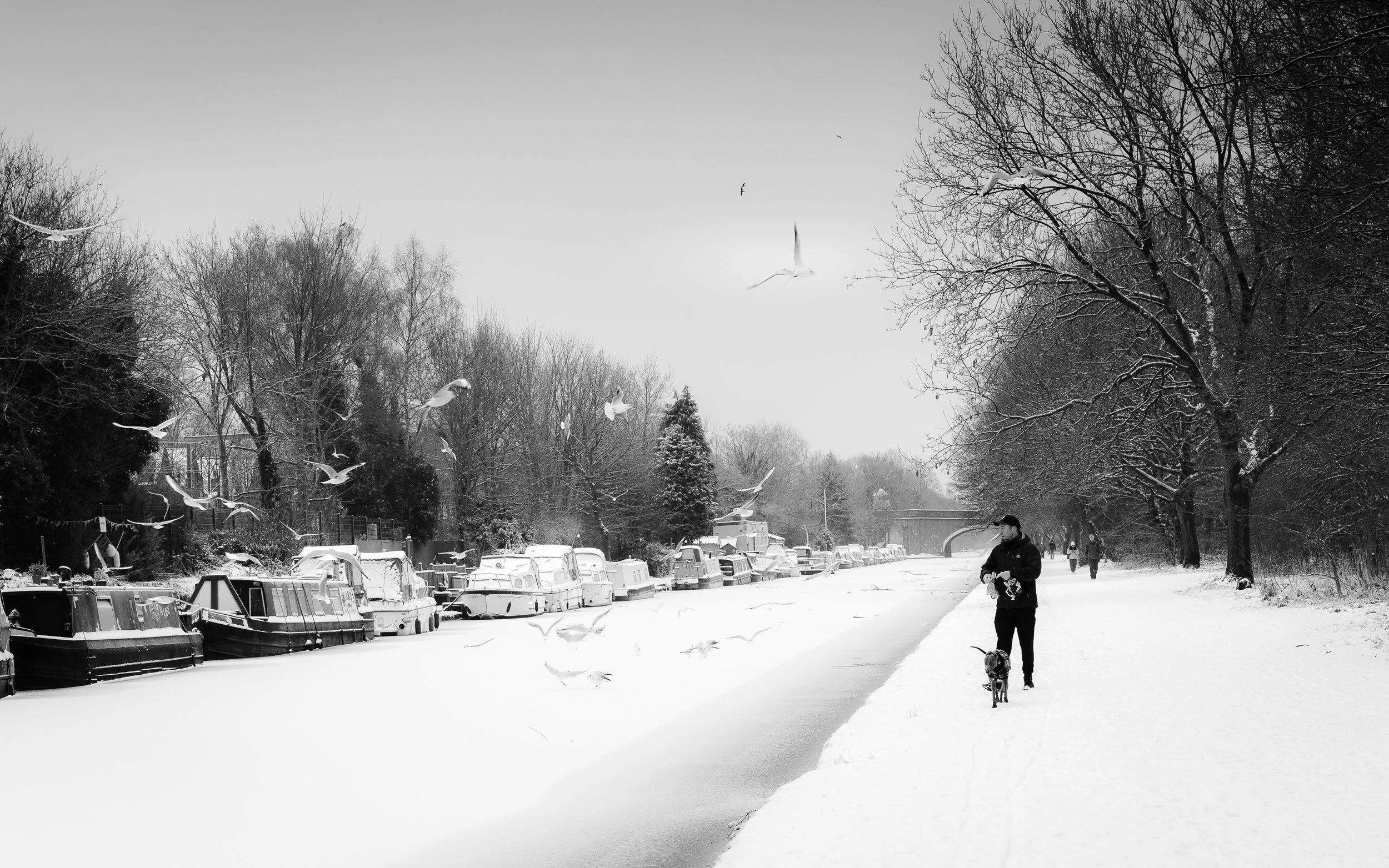Winter on the Canal, Sale - 2025