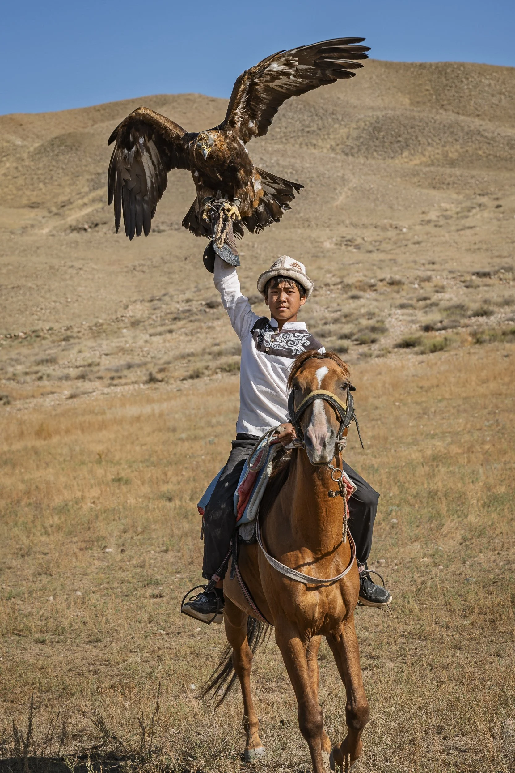 Younger brother gallops down to meet the visitors