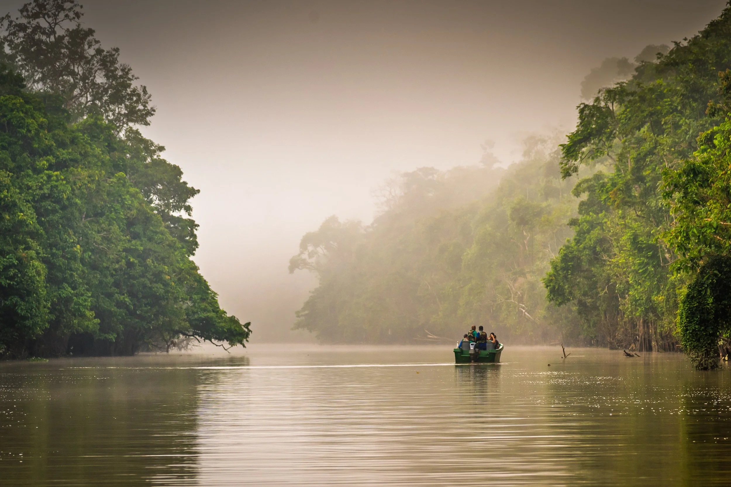 Kinabatangan River, Borneo - 2025