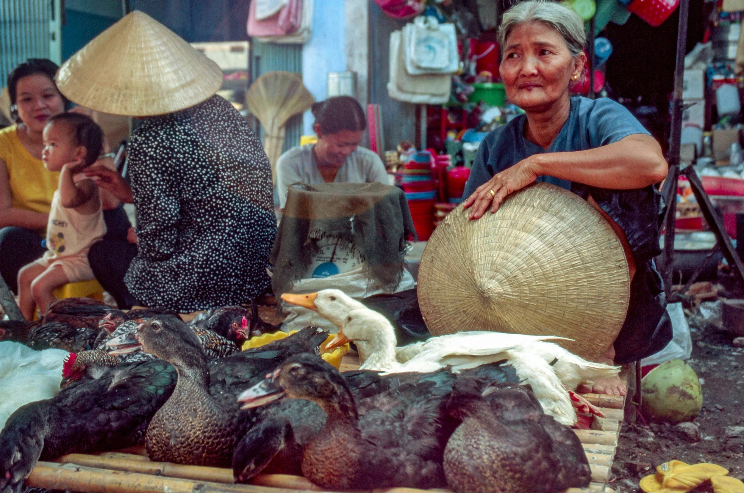 Mekong Delta, Vietnam - 1995