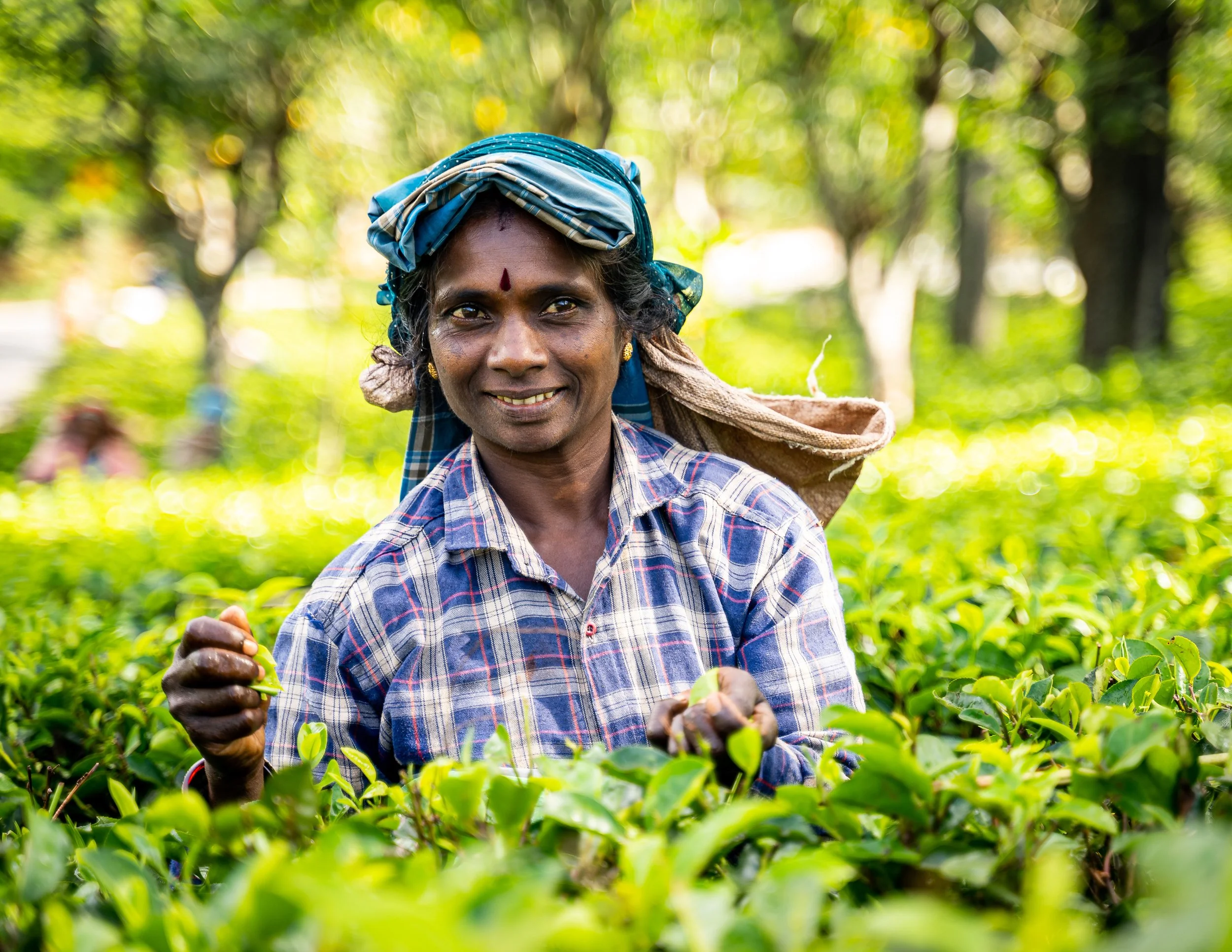 Ella, Sri Lanka - 2023