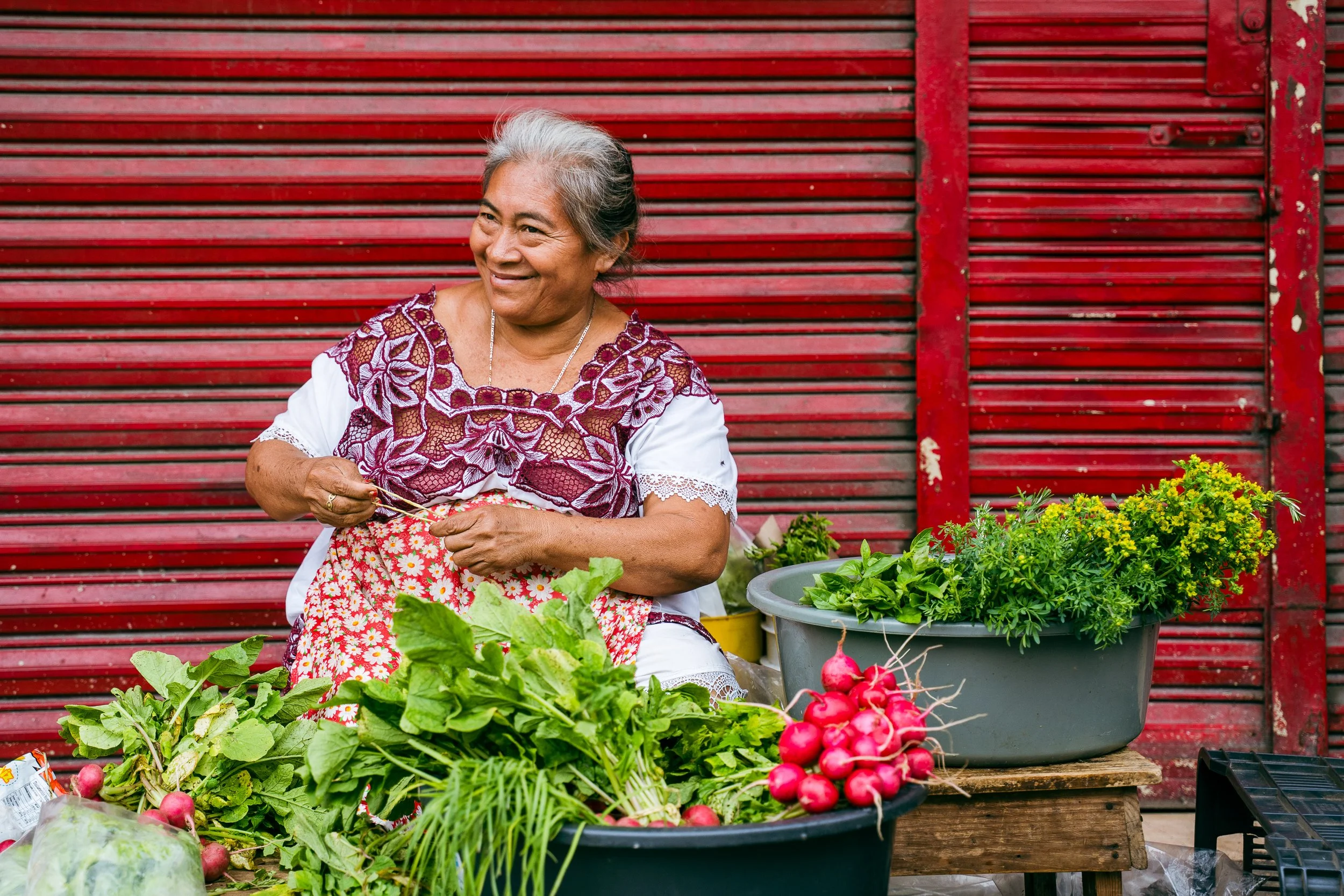 Valladolid, Mexico - 2024