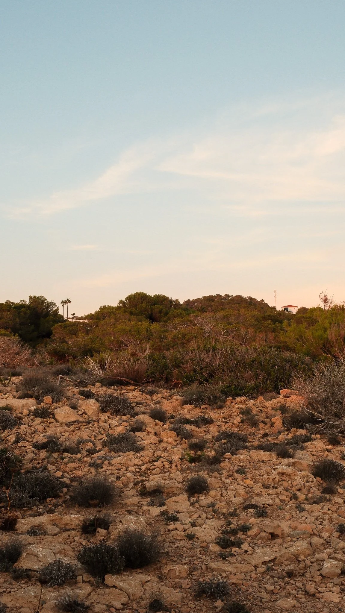 DSCF7714.jpg