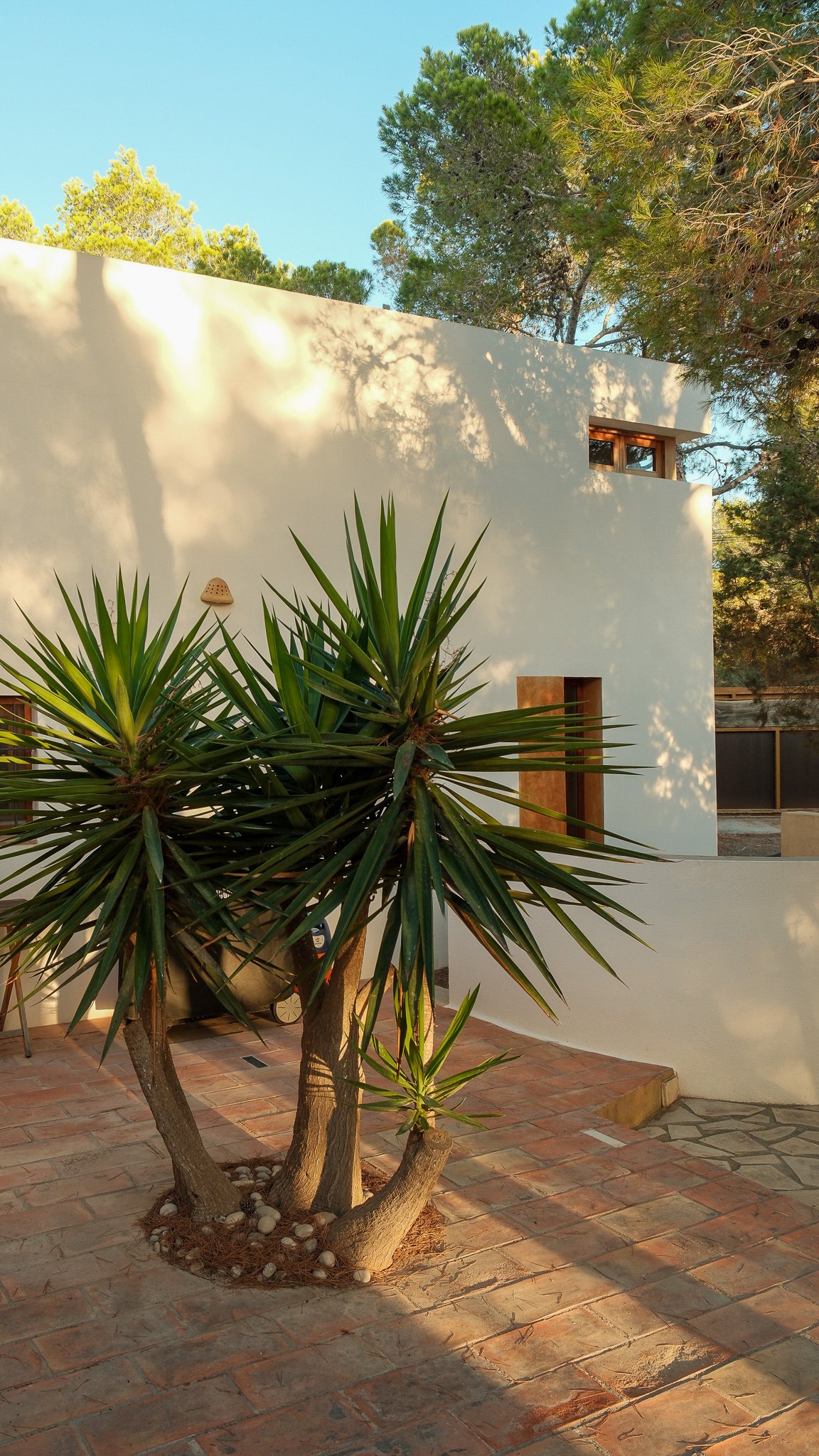 DSCF7418.jpg