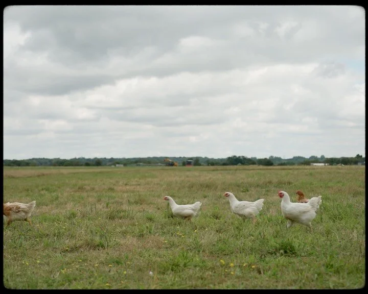 I&rsquo;m currently putting together a new showreel as I haven&rsquo;t updated it since 2024 😅

It&rsquo;s nice looking back at all the work I&rsquo;m proud enough of to put in it and this is definitely one of those projects

For @suttonhoochicken w