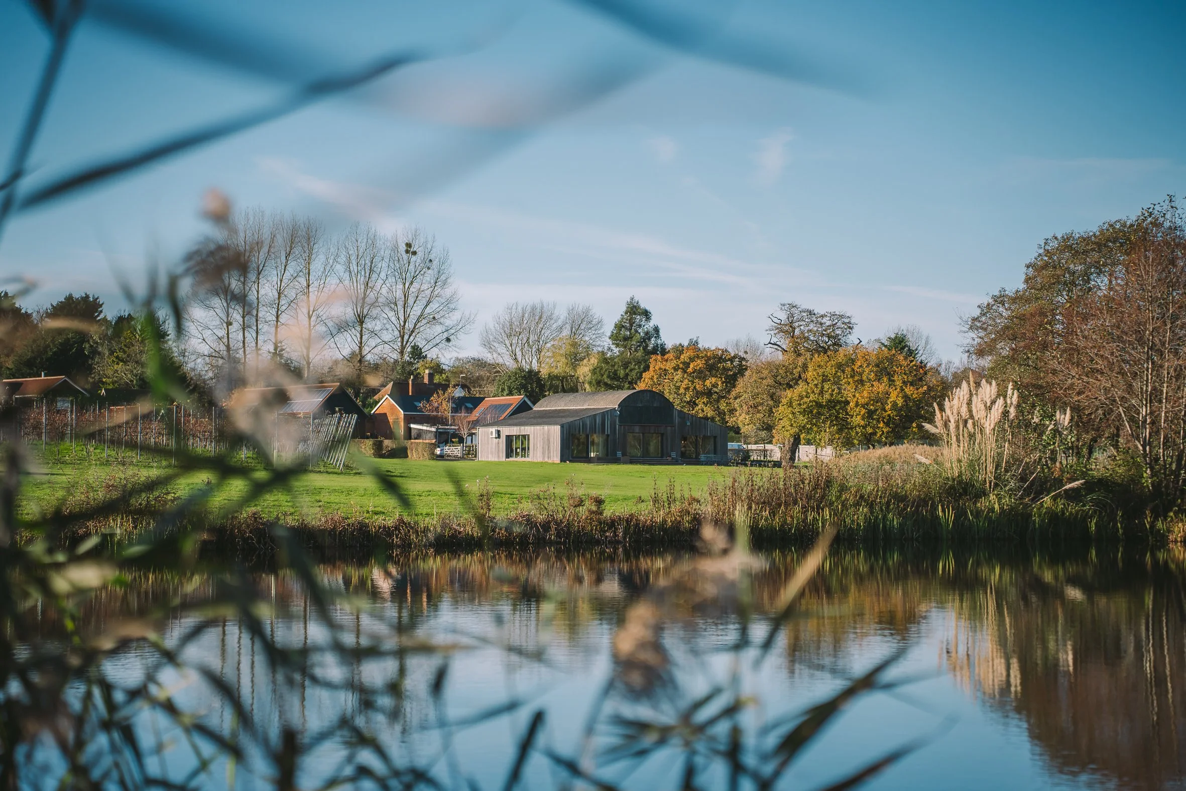 A peaceful rural landscape with a pond, houses, trees with autumn foliage, and a clear blue sky, viewed through some foreground branches.