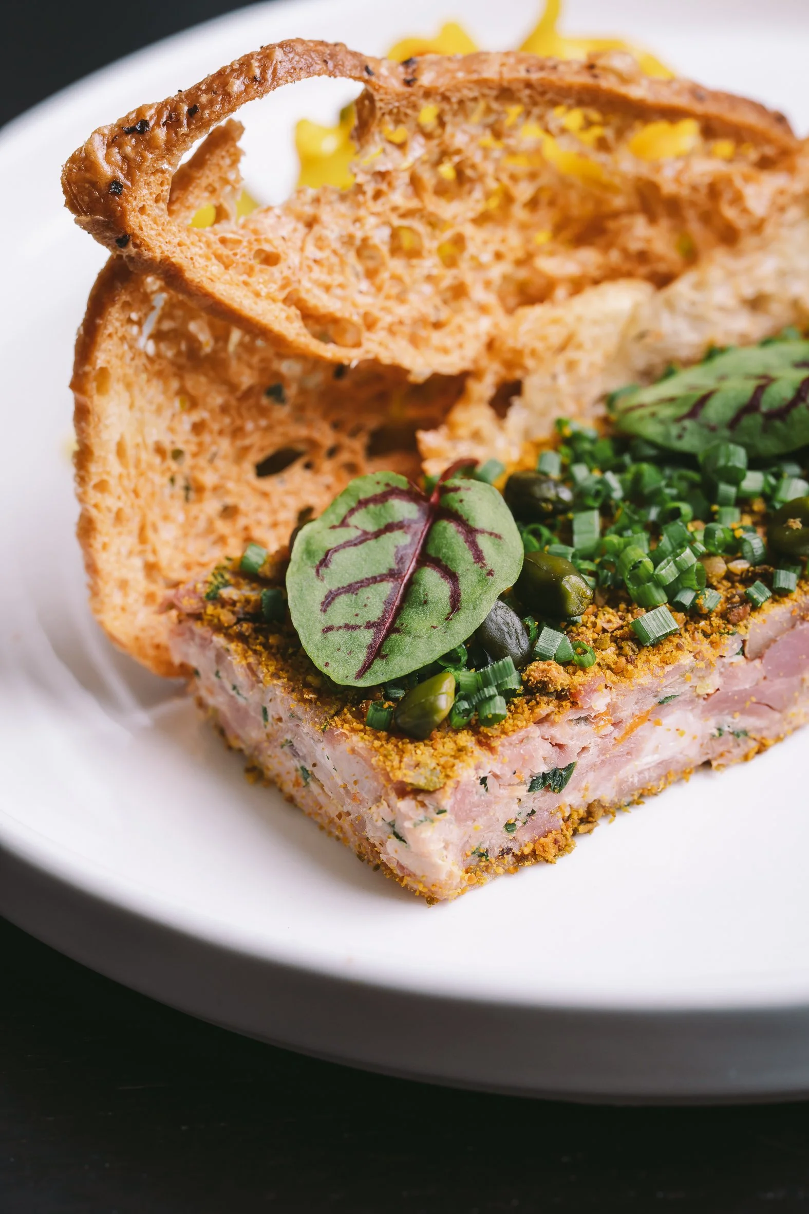 A plated dish featuring a large square of salmon terrine with herbs and spices, topped with fresh microgreens, served with crispy wonton chips and a side of green salad greens.
