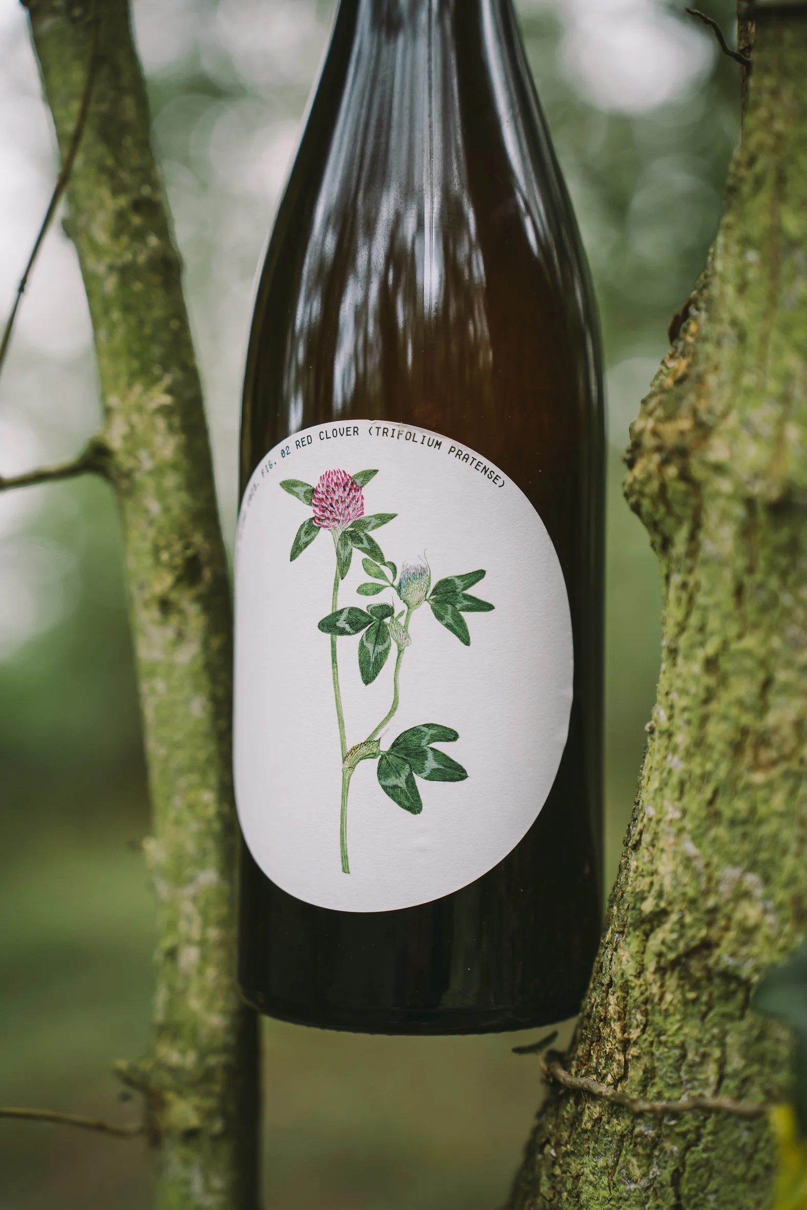 Close-up of a dark bottle with a botanical illustration on the label, hanging on a tree branch with textured bark, surrounded by green, blurred foliage.