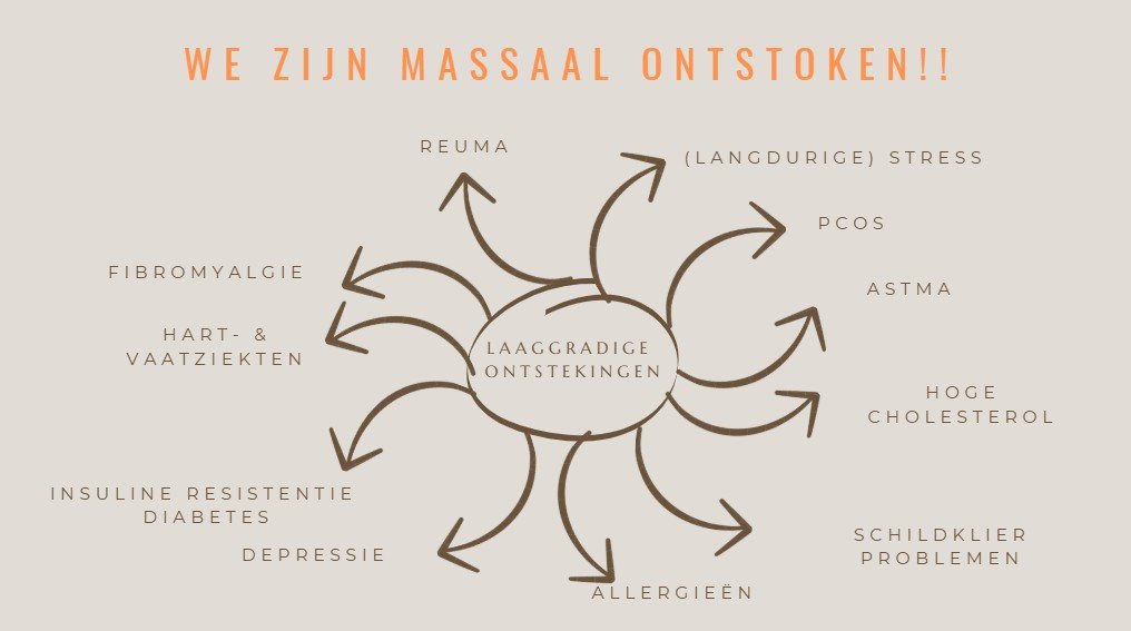 Diagram met de tekst "We zijn massaal ontstoken" en verschillende symptomen en gezondheidsproblemen die voortvloeien uit laaggradige ontstekingen, waaronder reuma, stress, PCOS, astma, hoge cholesterol, schildklierproblemen, allergieën, depressie, diabetes, hart- en vaatziekten, fibromyalgie.