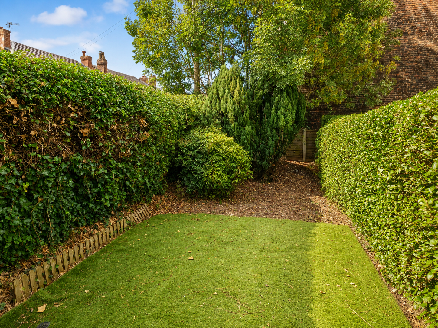 Back Garden.png