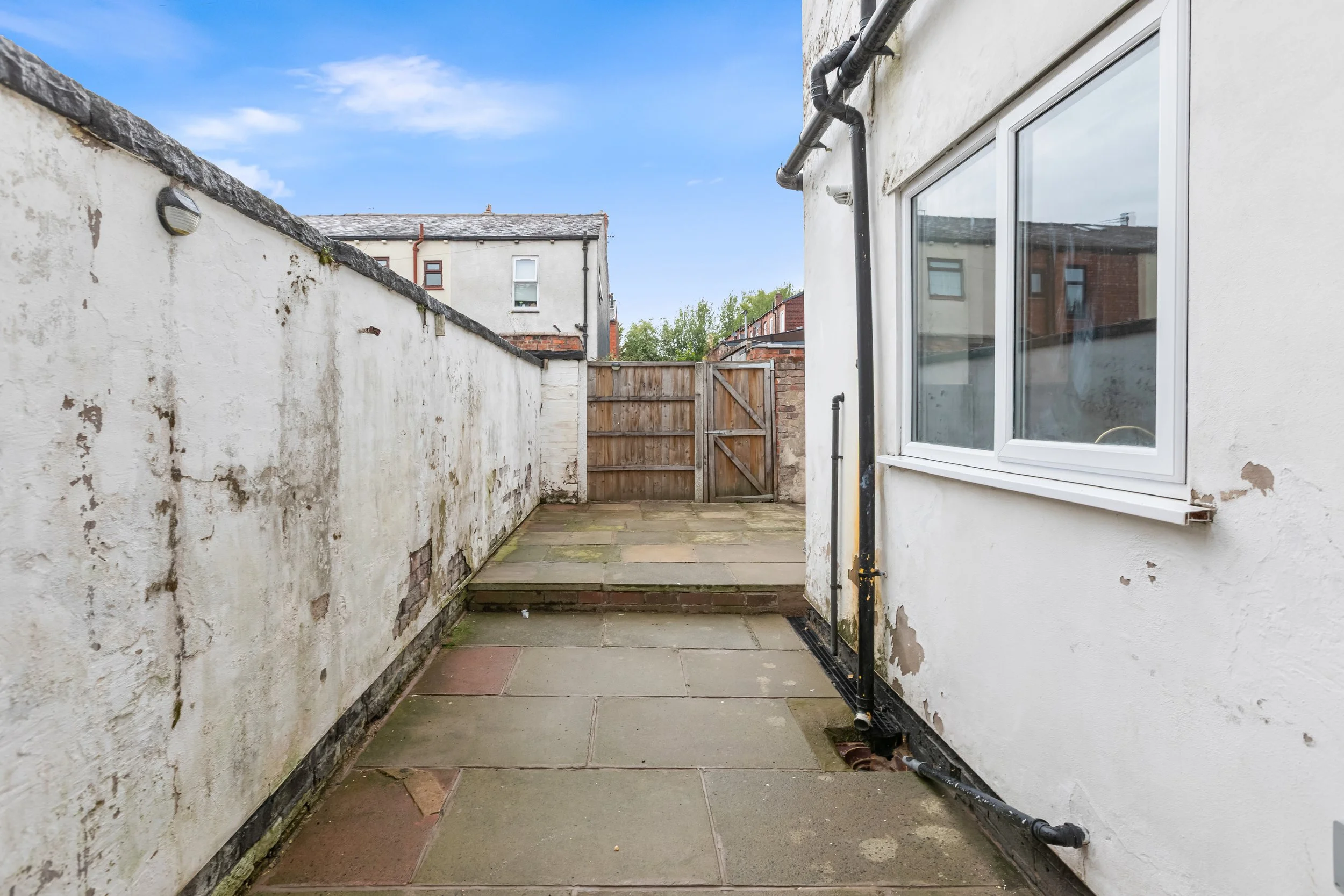 Backgarden 1.jpg