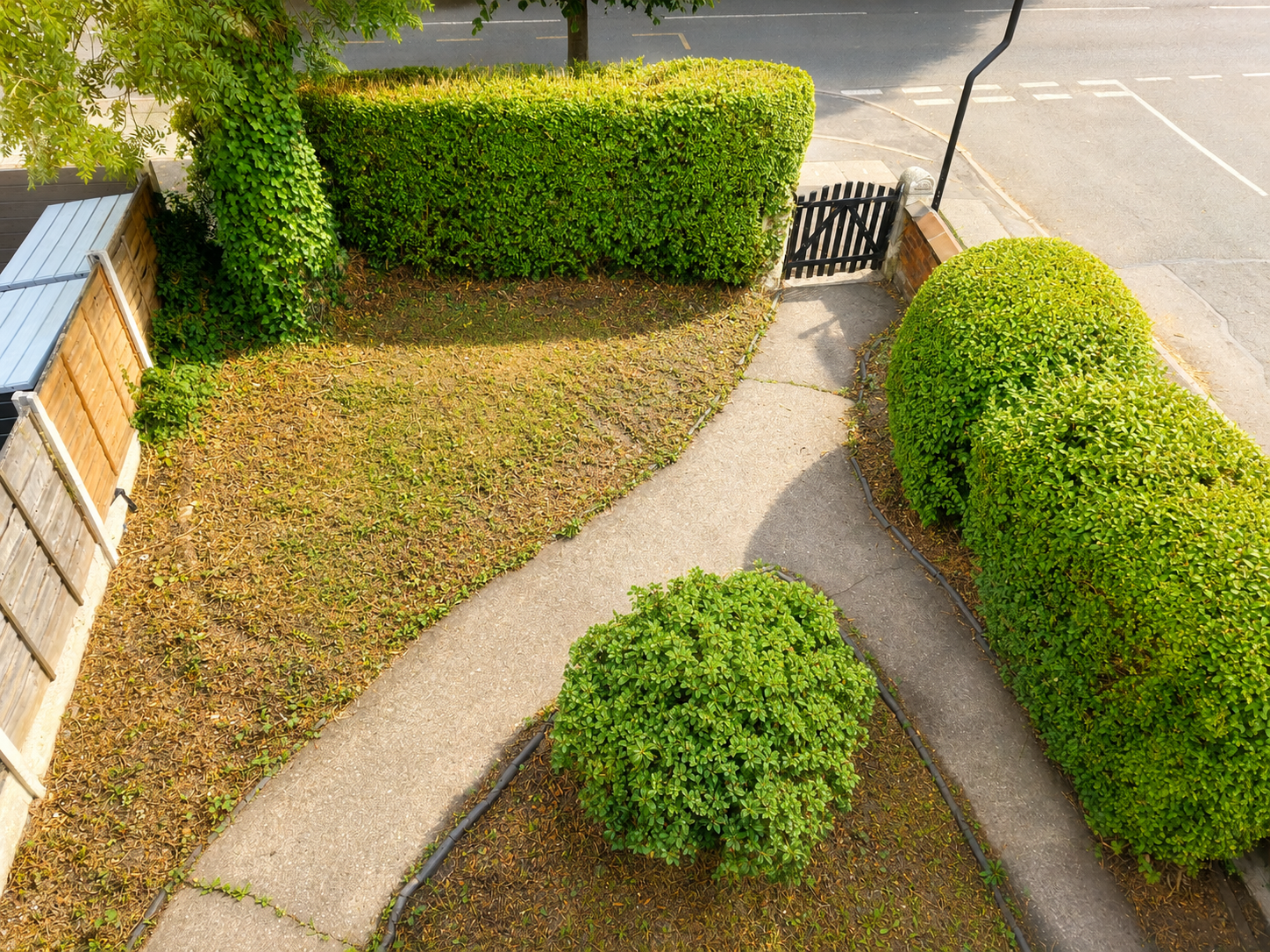 Front Yard 1.png