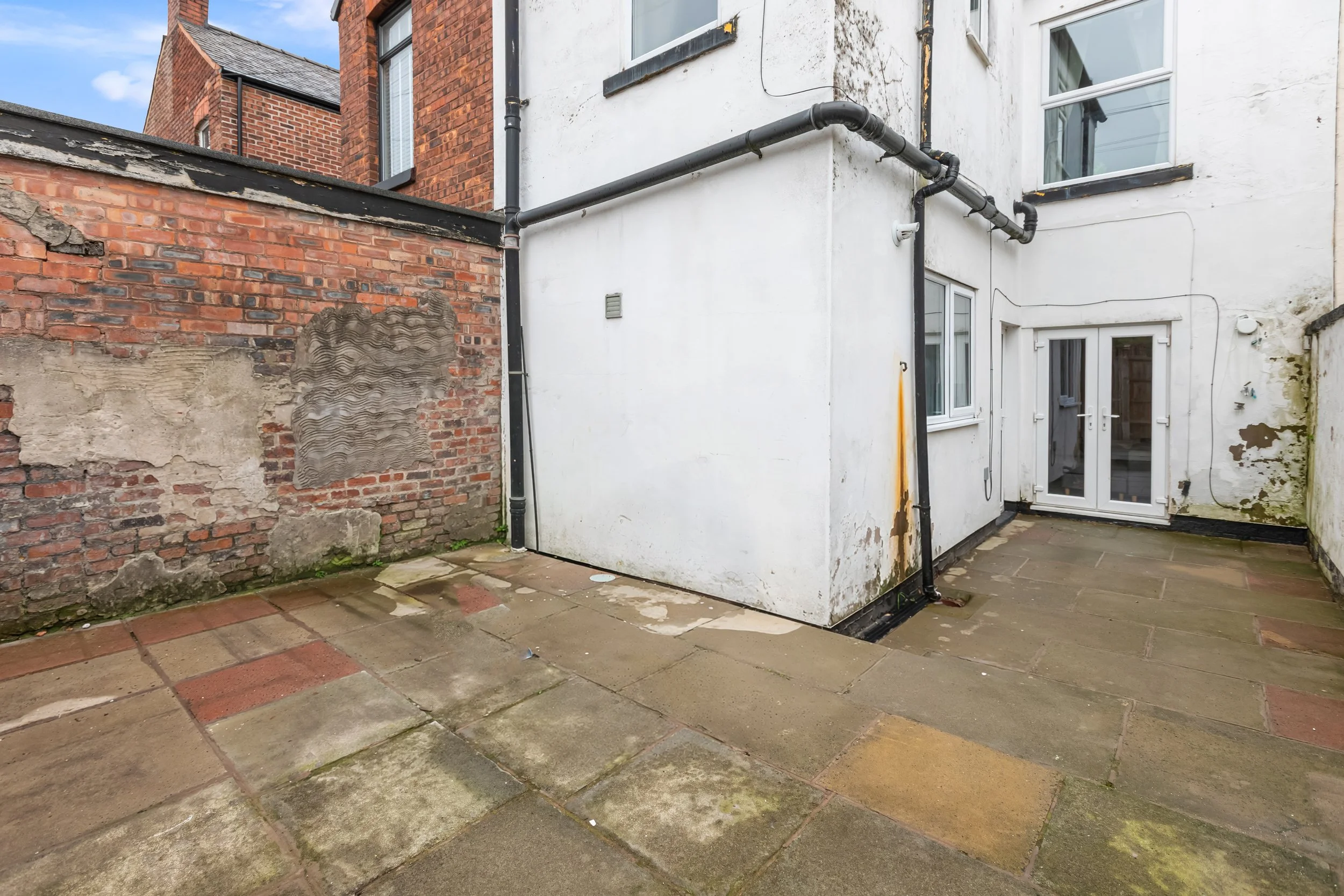 Backgarden 2.jpg