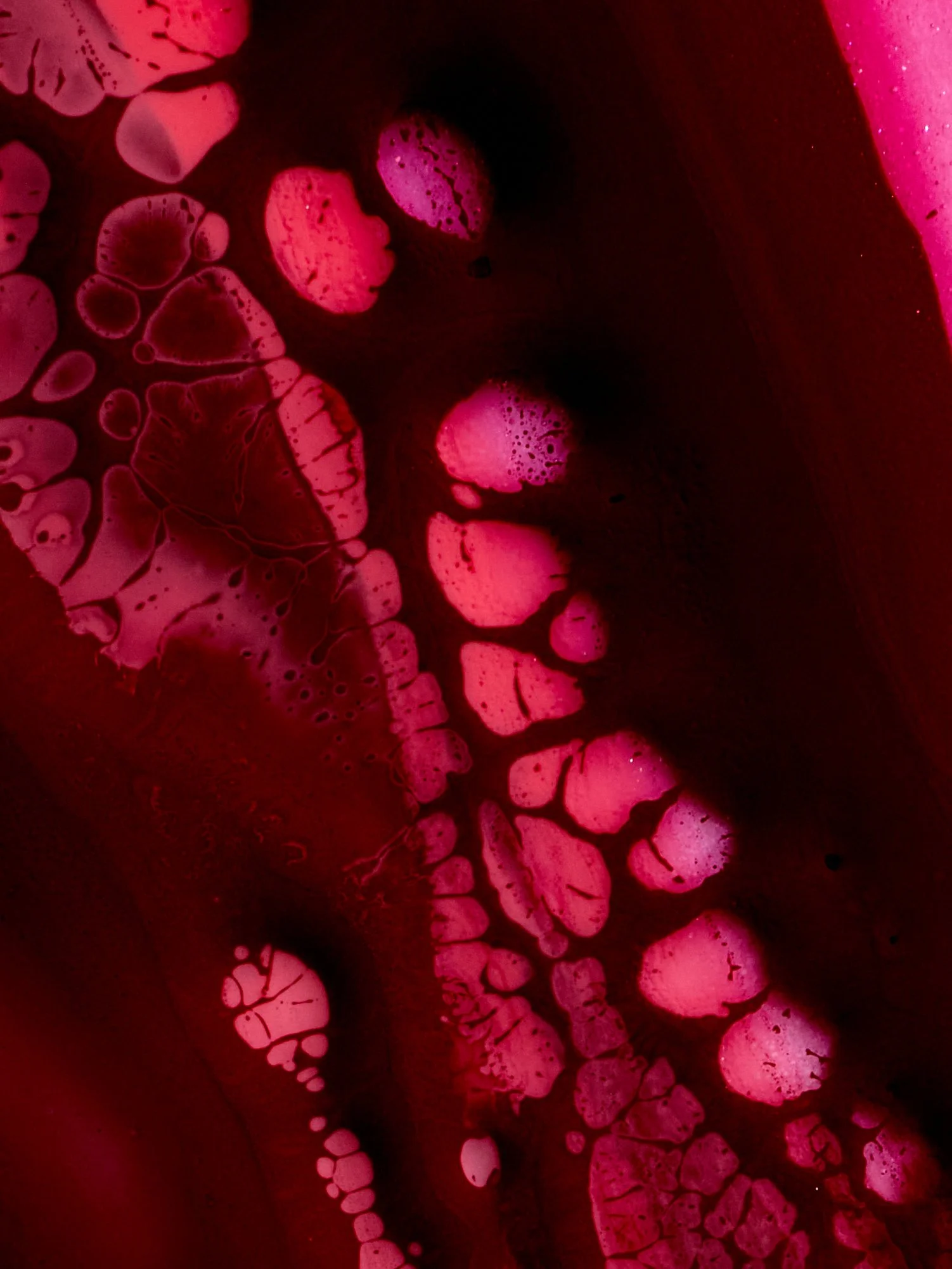 Texture Test 12232971.jpg