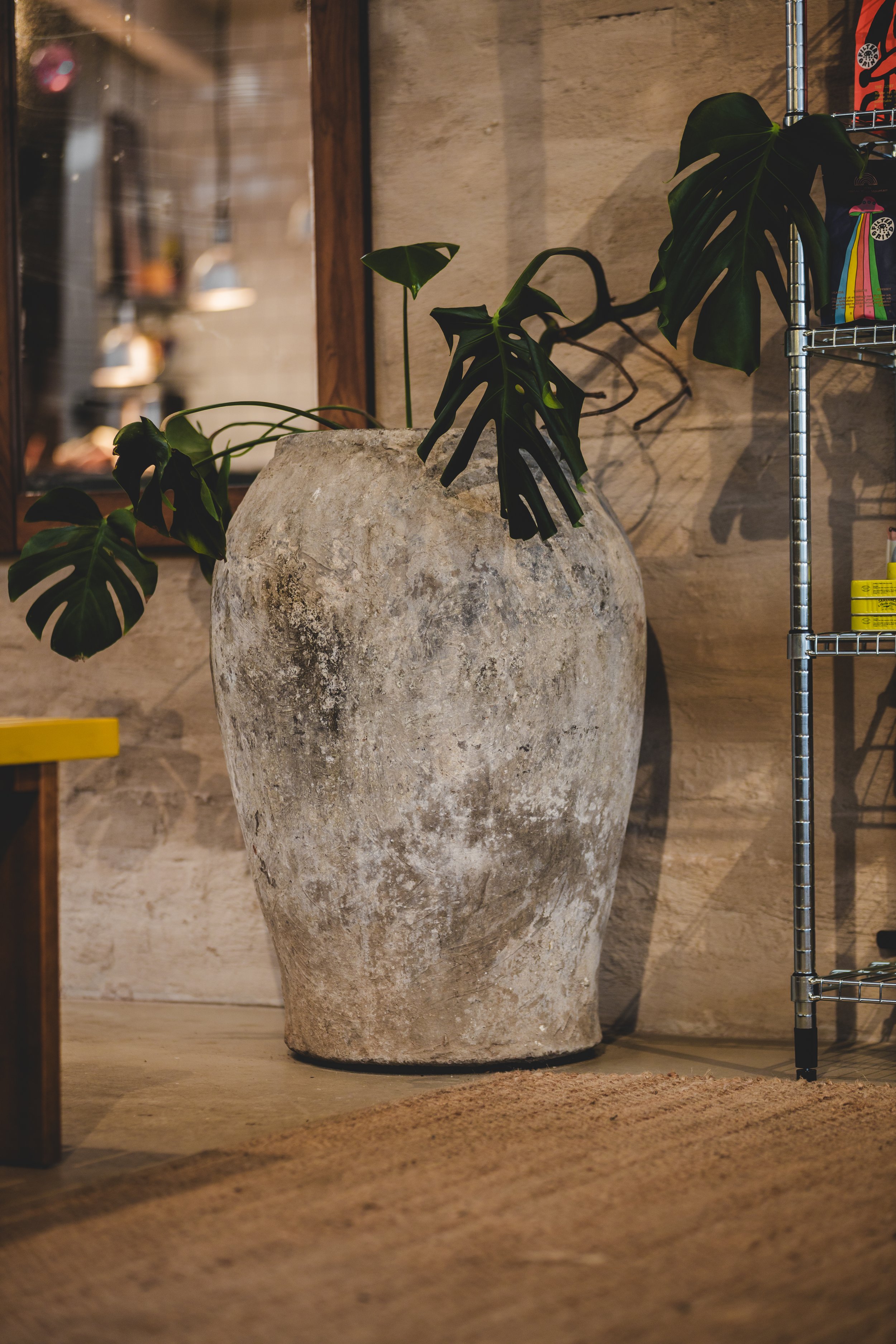 En stor, gammal växtkruka med en grön monstera växt, placerad i ett rum med en bricka av trä och ett metallhylla i bakgrunden.