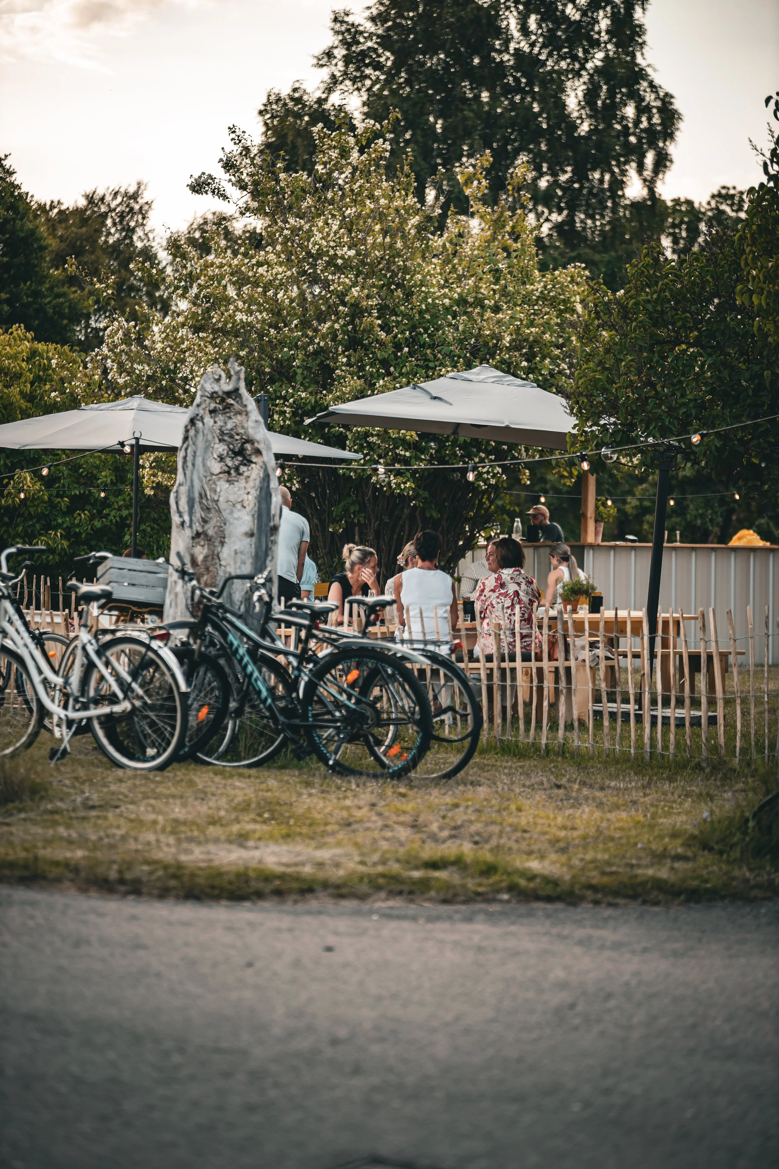 Utomhusservering med bord, stolar och parasoller, grupper av personer sitter och umgås, cyklar parkerade i förgrunden, blommande träd och en mur i bakgrunden, kvälls- eller nattljus.
