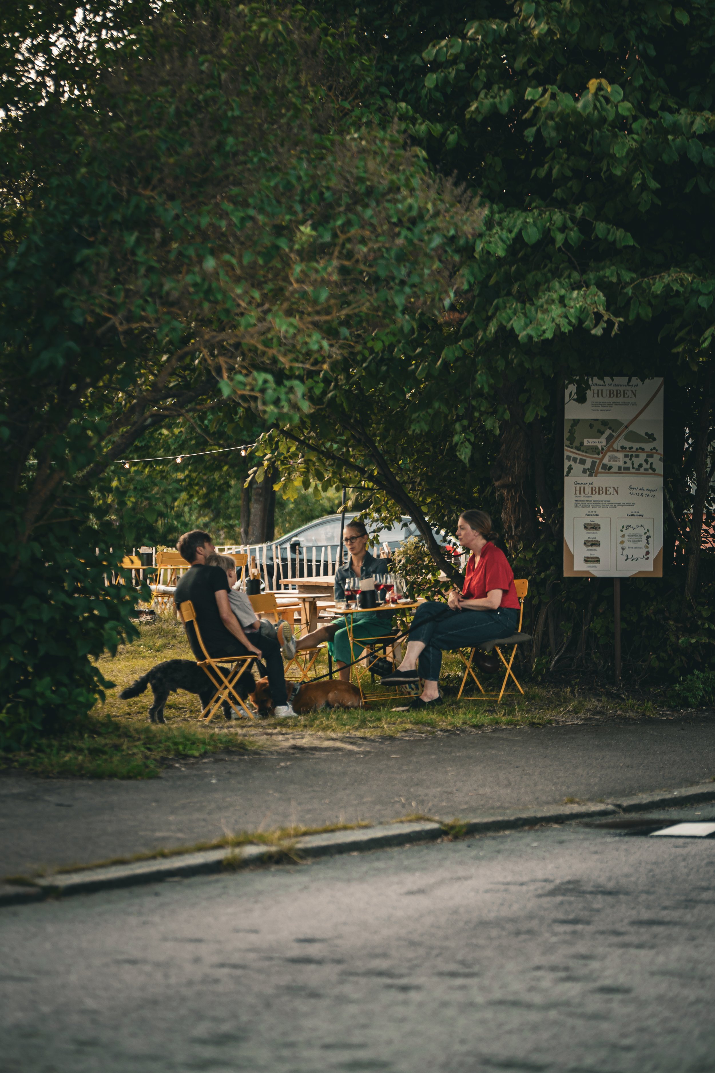 Människor som sitter och pratar vid ett utomhusbord under en stor träd med gröna blad, på en uteservering. Det finns hundar på marken och en skylt med information om platsen, som heter Hubben.