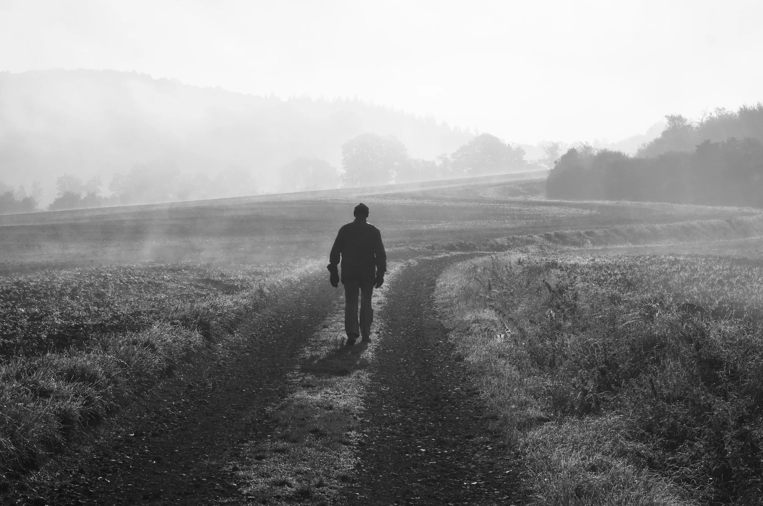A person walking along a dirt path in a foggy countryside, with trees and hills in the background.