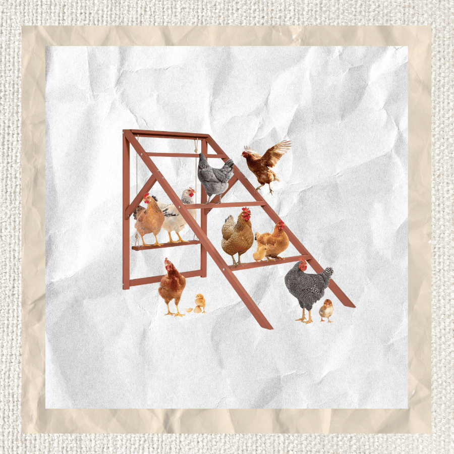 Wooden Indoor Outdoor Chicken Perch Roost
