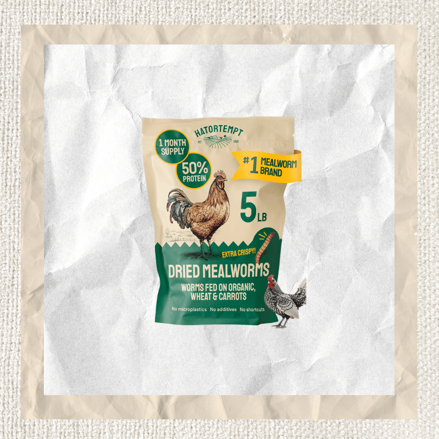 Chicken Mealworm Treats