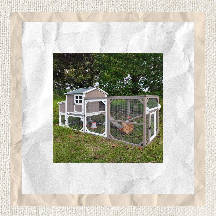 Gray Chicken Coop with Run