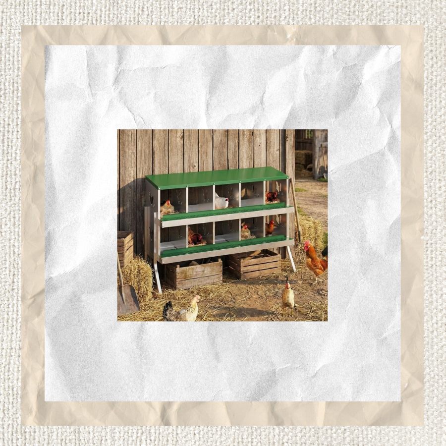 Standing Nest Boxes