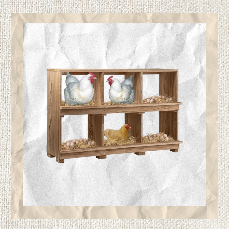 Wooden Nest Boxes