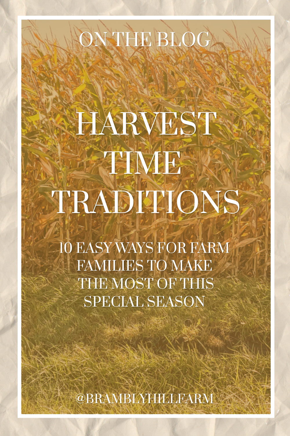 Corn Field depicting image of Harvest Time