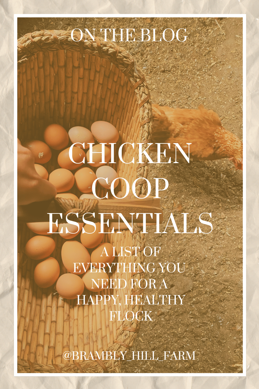 A full basket of chicken eggs against the backdrop of a free range chicken pecking at the ground.