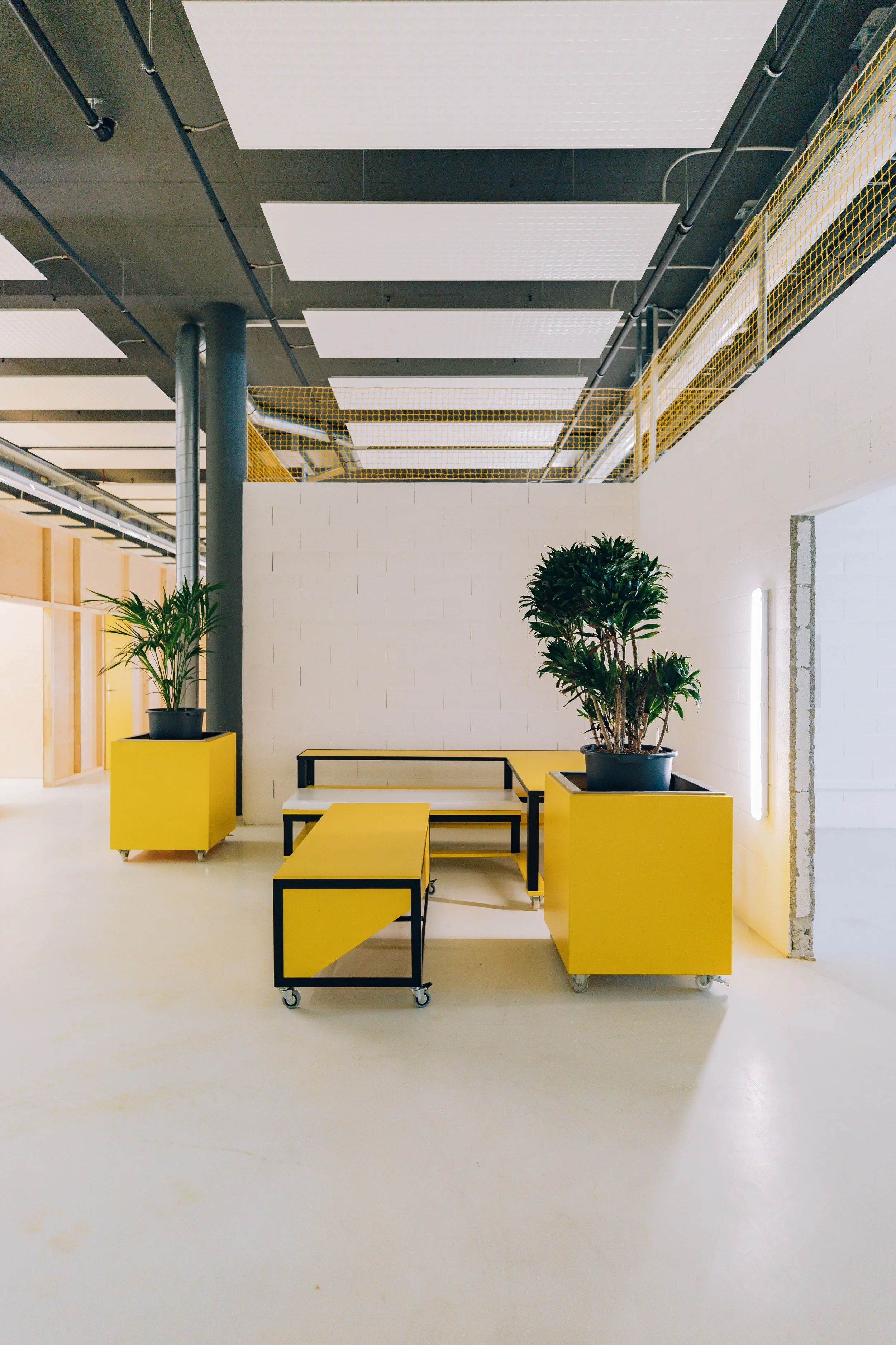 Intérieur d'un espace moderne avec des plantes en pot, mobilier jaune et noir, panneaux acoustiques blancs au plafond, et un mur en brique partiellement visible à droite.