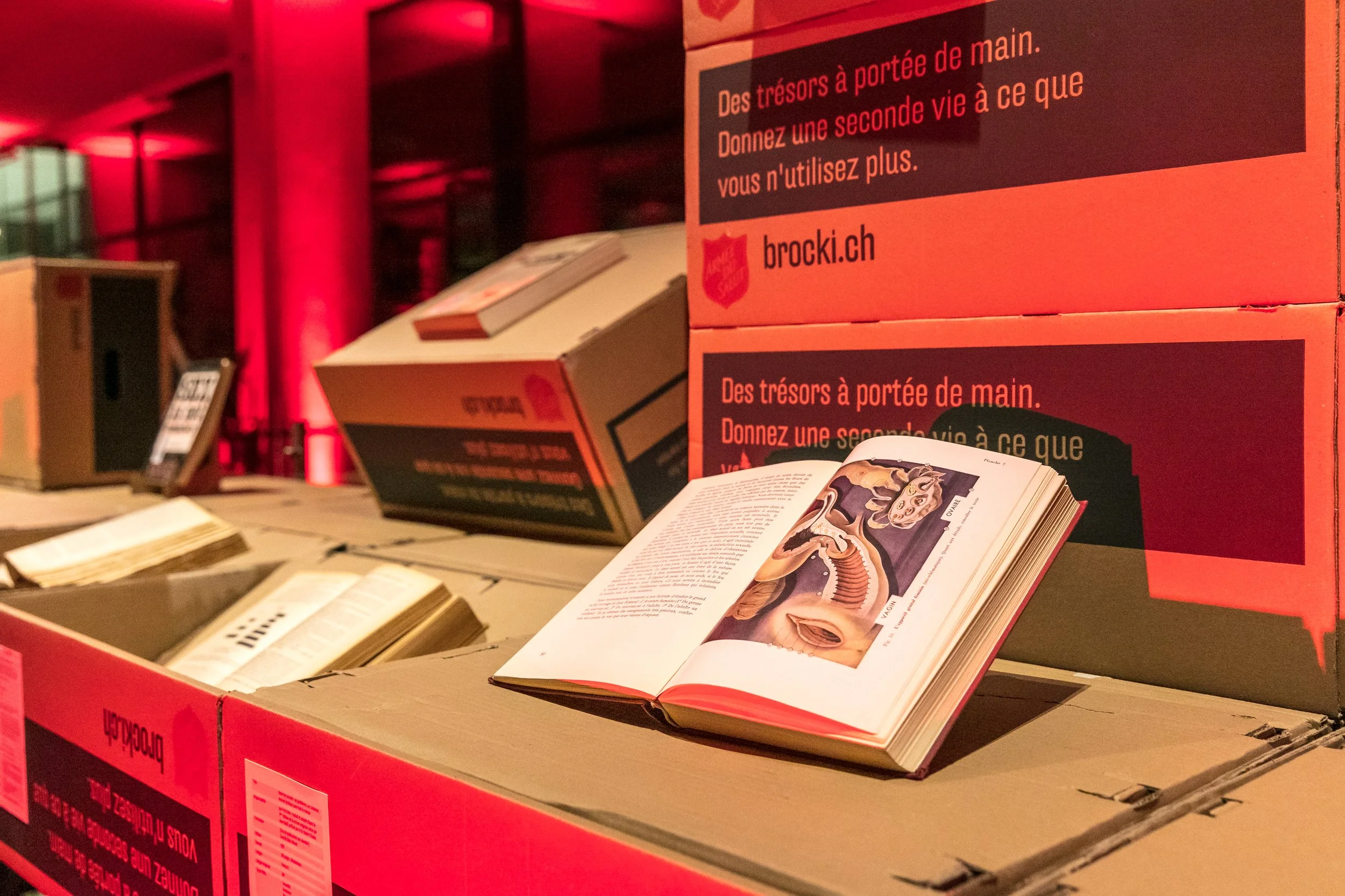 Livres, périodiques, magasines sur la sexualité exposés sur des supports scénographiques en carton de réemploi, cartel de présentation en français. Sur les cartons, on peut lire une adresse web, brocki.ch, avec une image d'un organisme de charité.