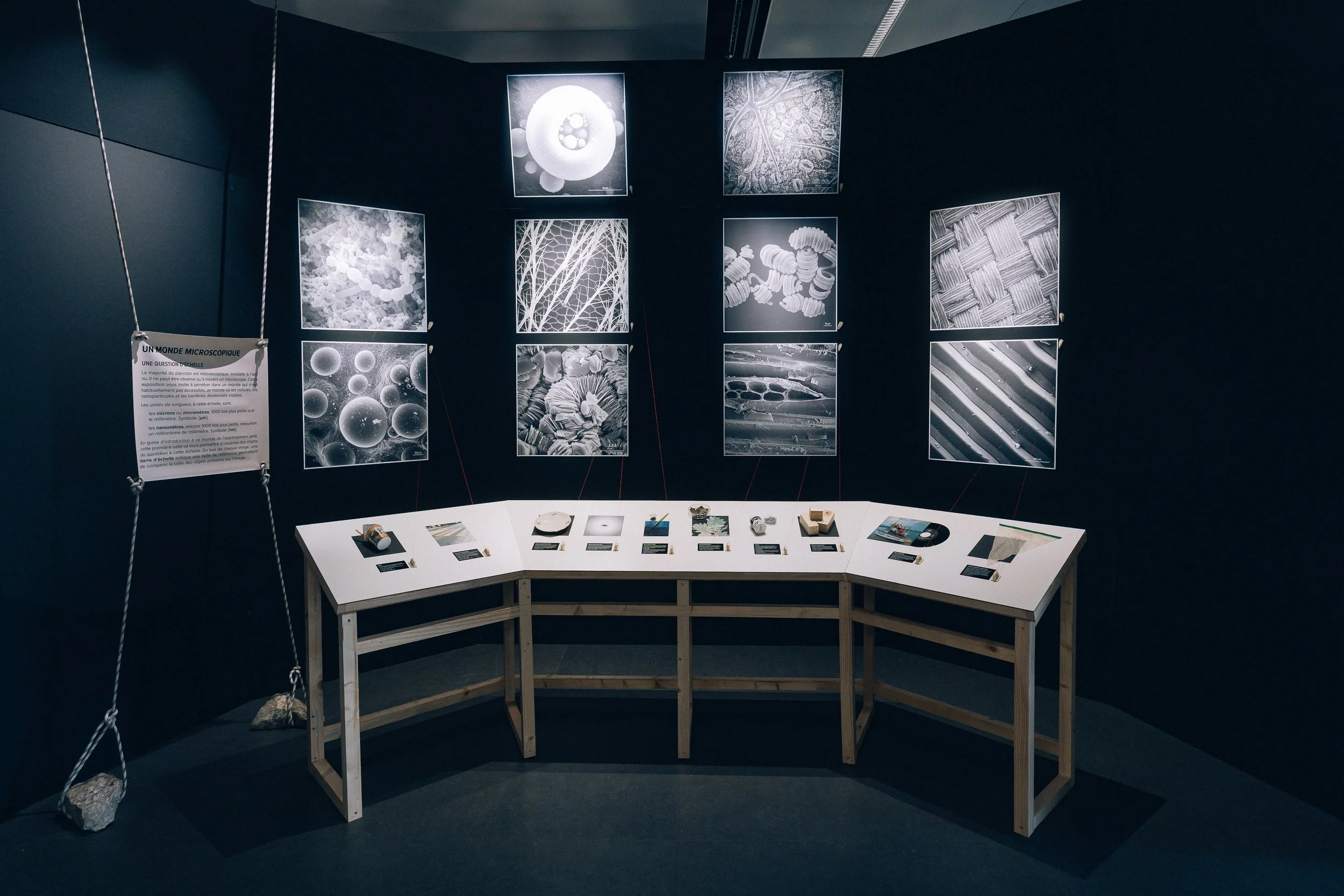 Scénographie d'exposition immersive dans un musée avec des photographies microscopiques de plancton en noir et blanc, affichées sur un mur noir, table de présentation en bois contenant divers objets et documents, et panneau explicatif en français.