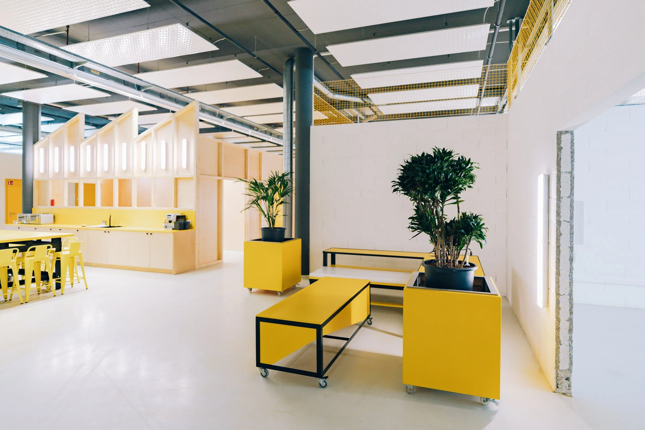 ESPACE de bureau moderne avec mobilier jaune et plantes vertes, plafond industriel et mur blanc.