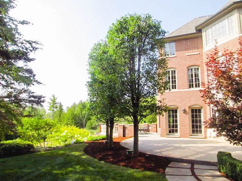 bruce-township-landscape-hardscape-design-installation-back-patio-2-2.jpg