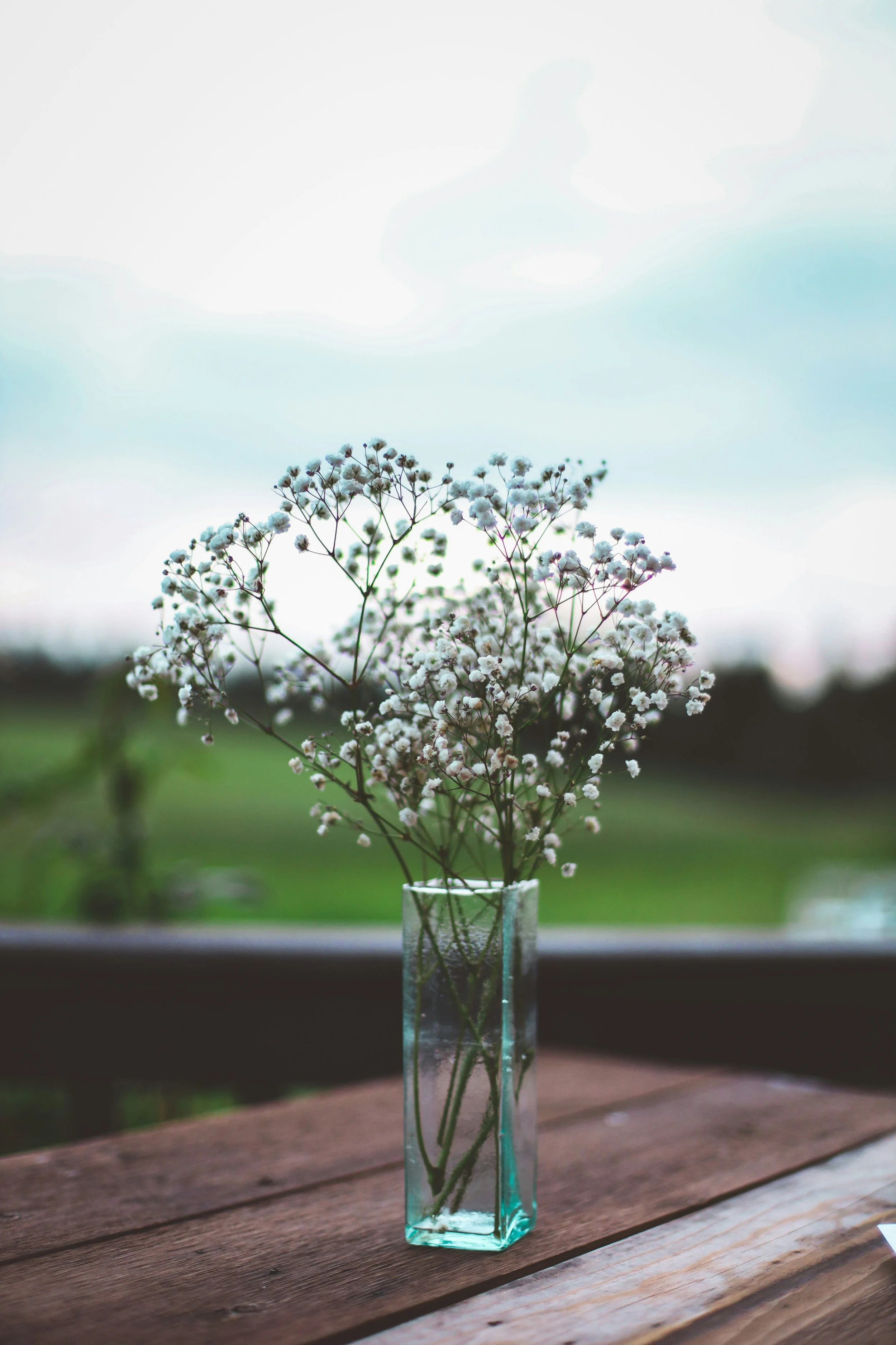 Greenery & Fillers
