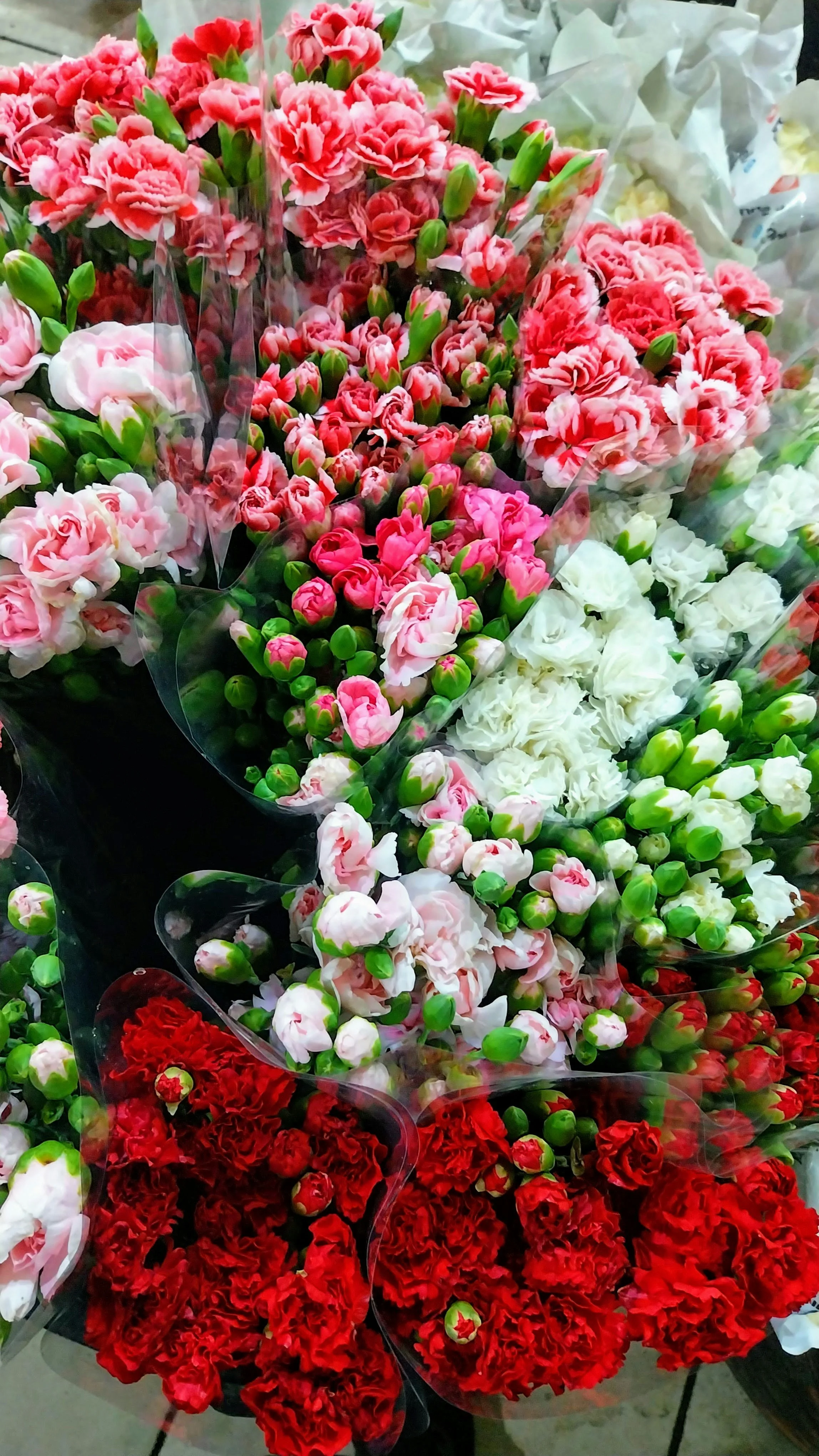 Seasonal Flowers