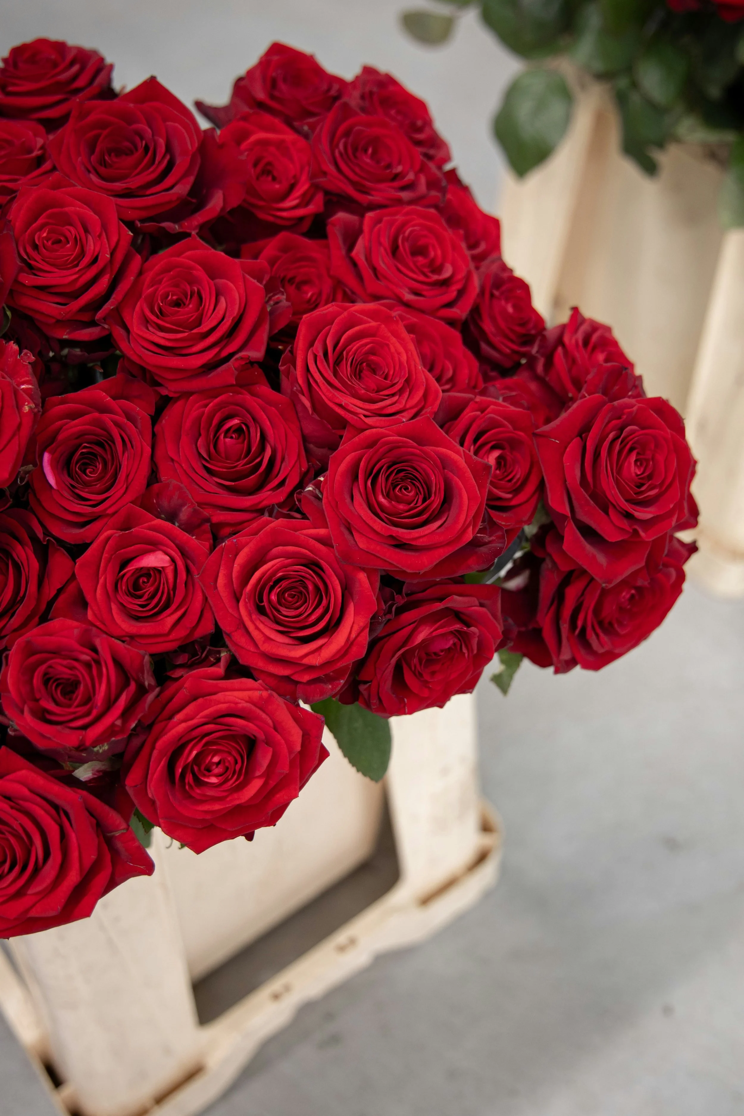 Roses