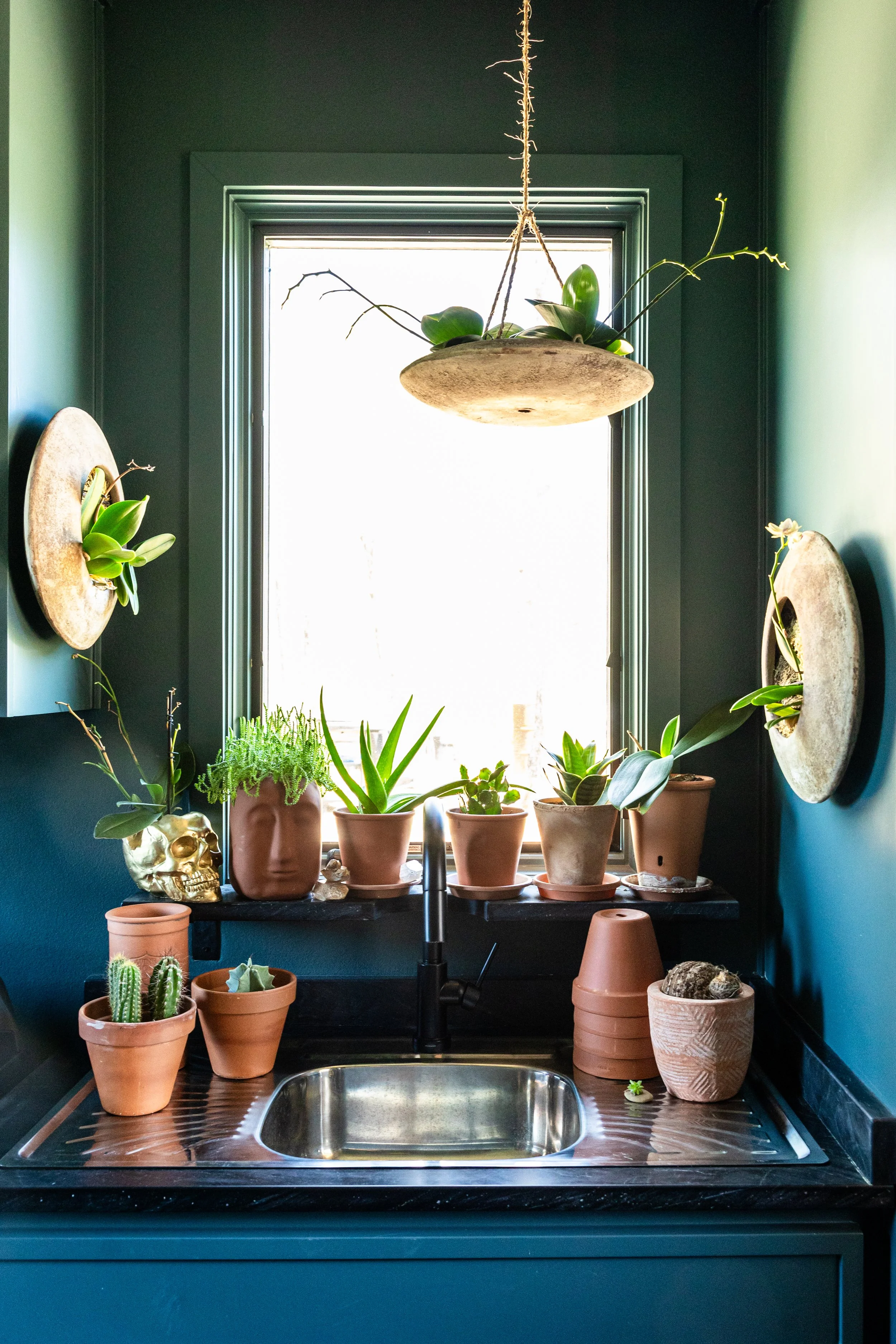 A kitchen window with a black counter below, decorated with potted plants, cacti, a gold skull, and various decorative stones and objects. The window is framed by dark green walls, with a hanging planter and two round wall planters with plants on the