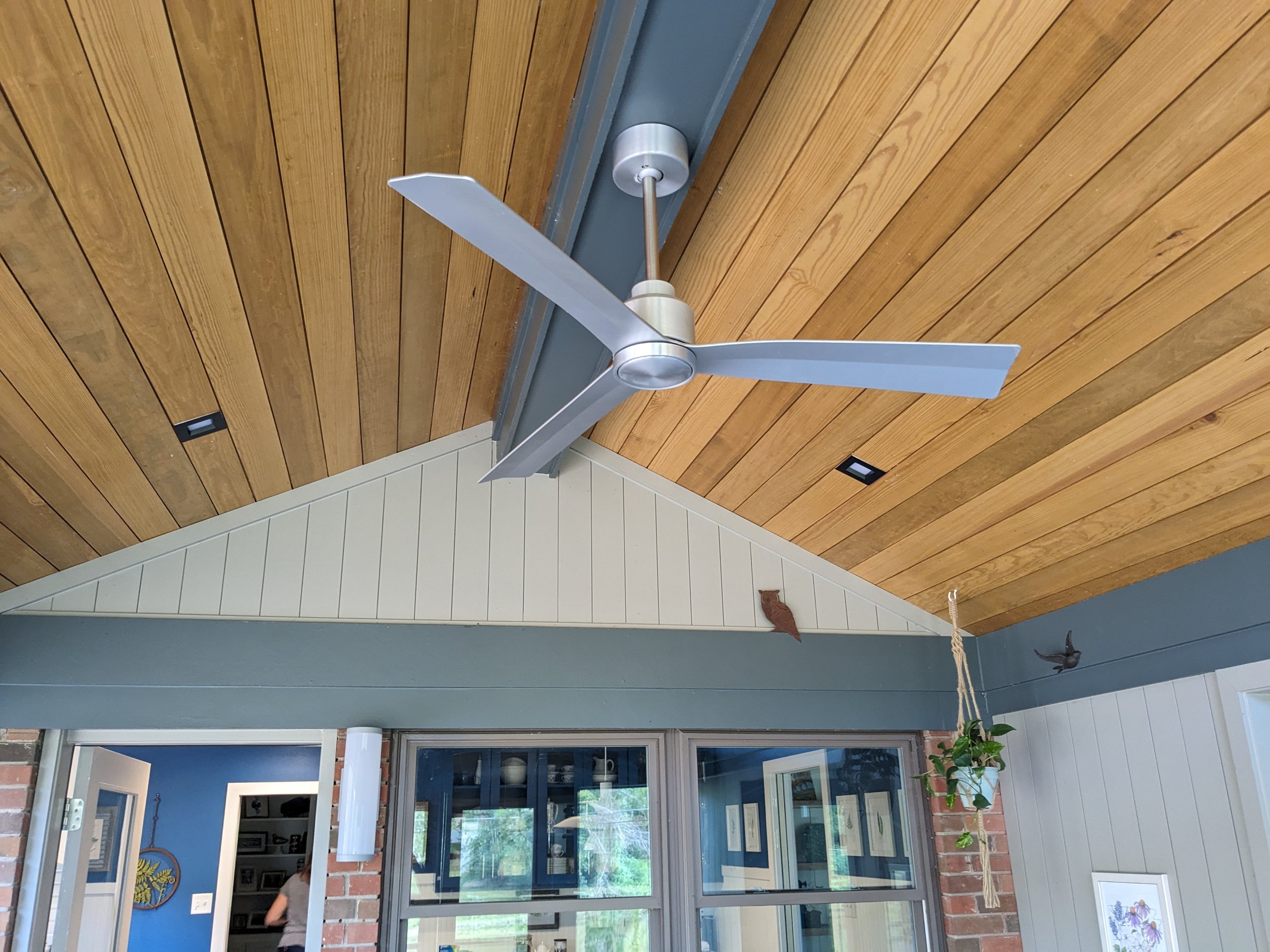 Photo of a modern ceiling fan with three silver blades mounted on a wooden ceiling in a room with large windows and a potted plant hanging from a string.