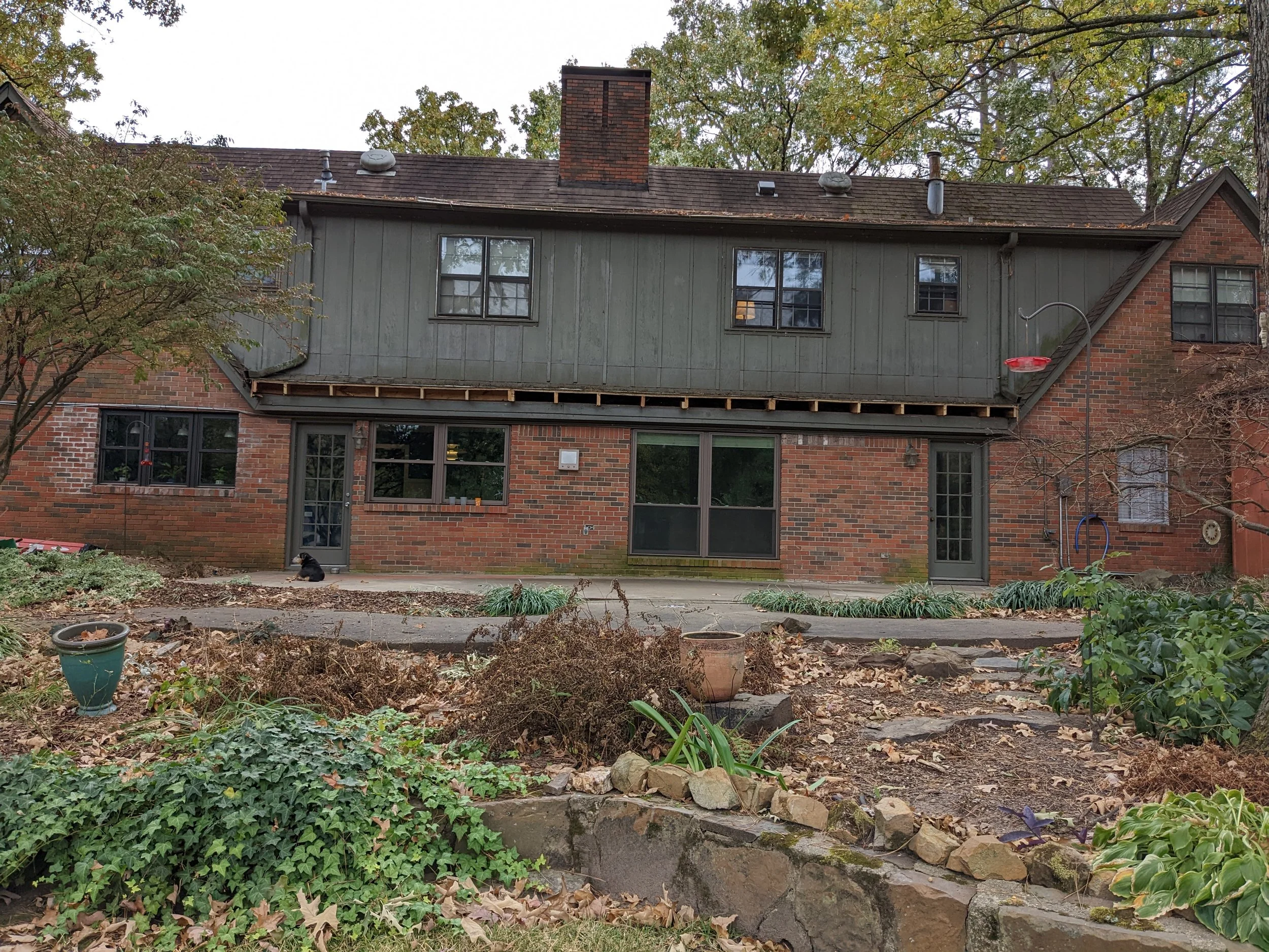 Backyard scene featuring a house with a new upper deck under construction, a dog sitting on the ground, and garden plants and leaves in the foreground.