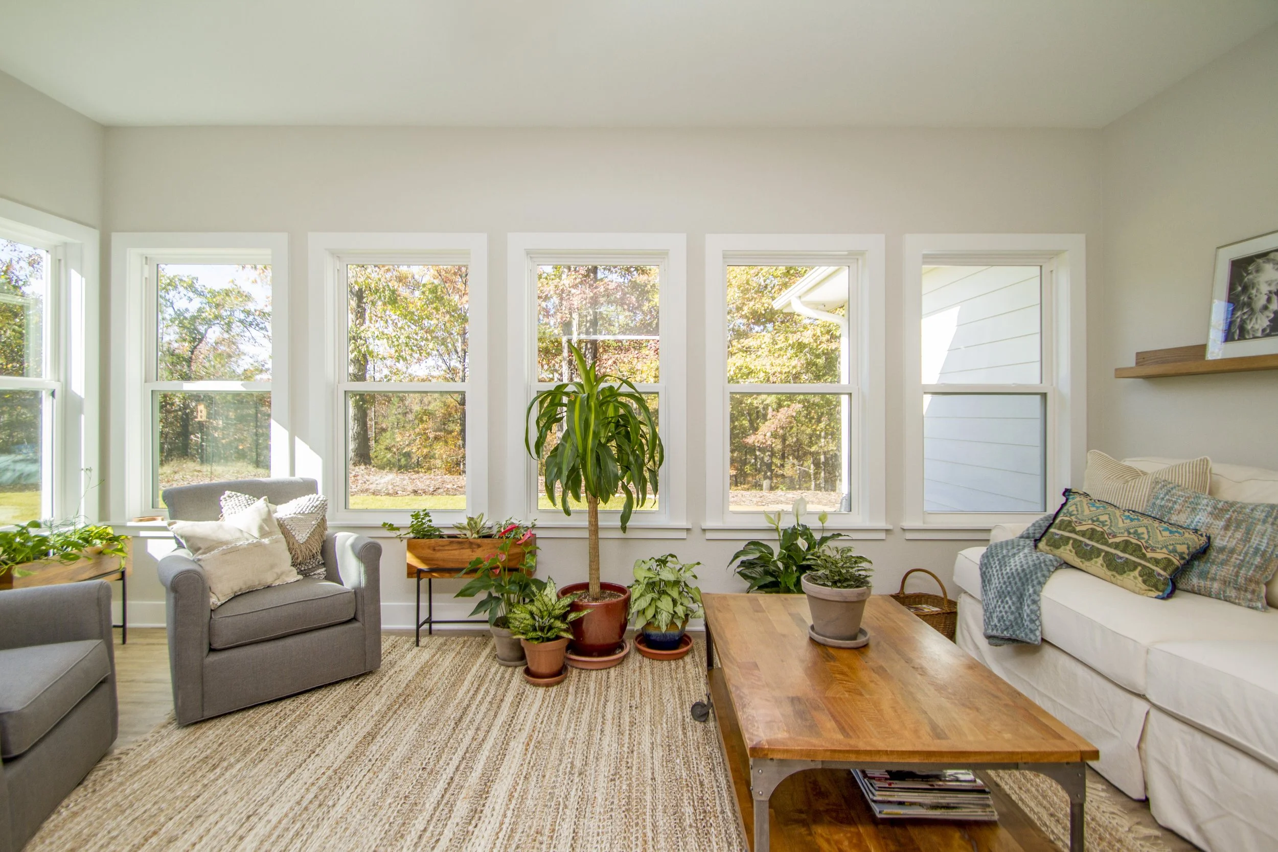 Living room with large windows featuring trees outside and potted plants on the floor, including a tall dracaena, a peace lily, and a jade plant, with a beige armchair, a white sofa with pillows, a wooden coffee table, and a picture frame on a floati