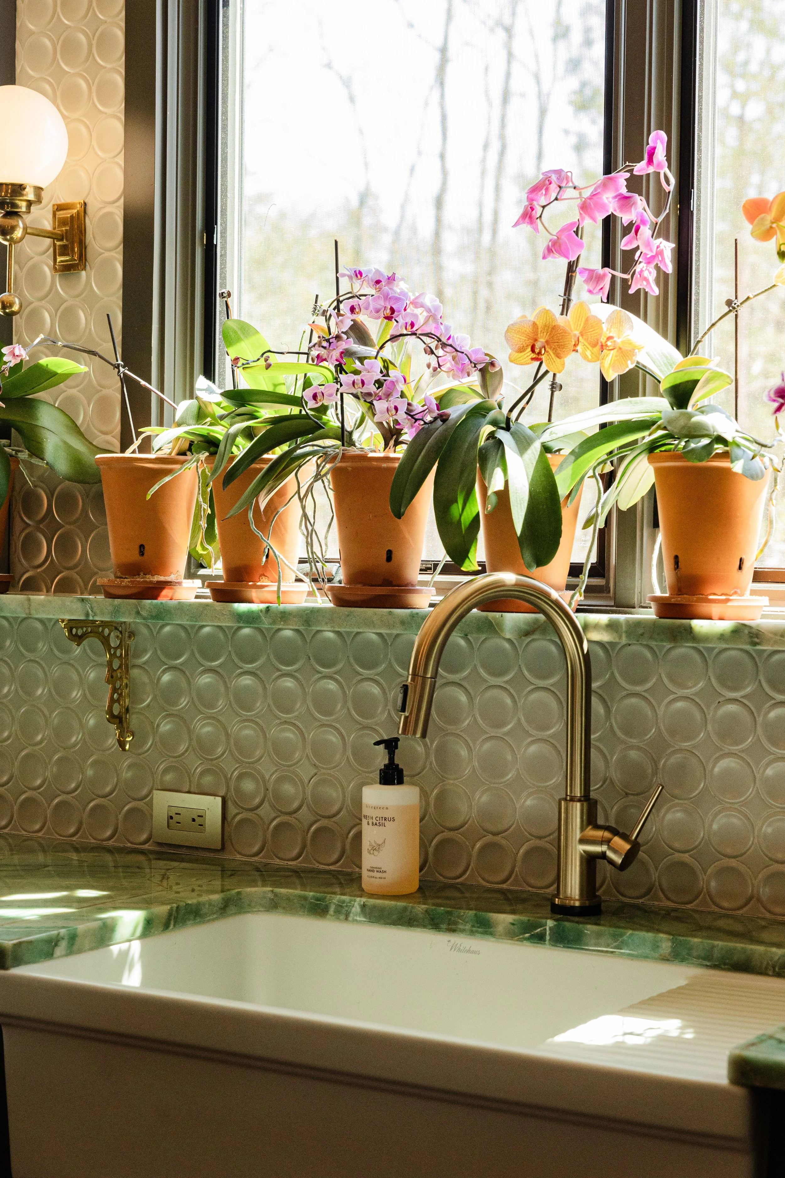 A kitchen window sill with terracotta flower pots containing orchids, a soap dispenser on the marble counter, and a gold-colored sink faucet. The window lets in natural light, illuminating the plants.