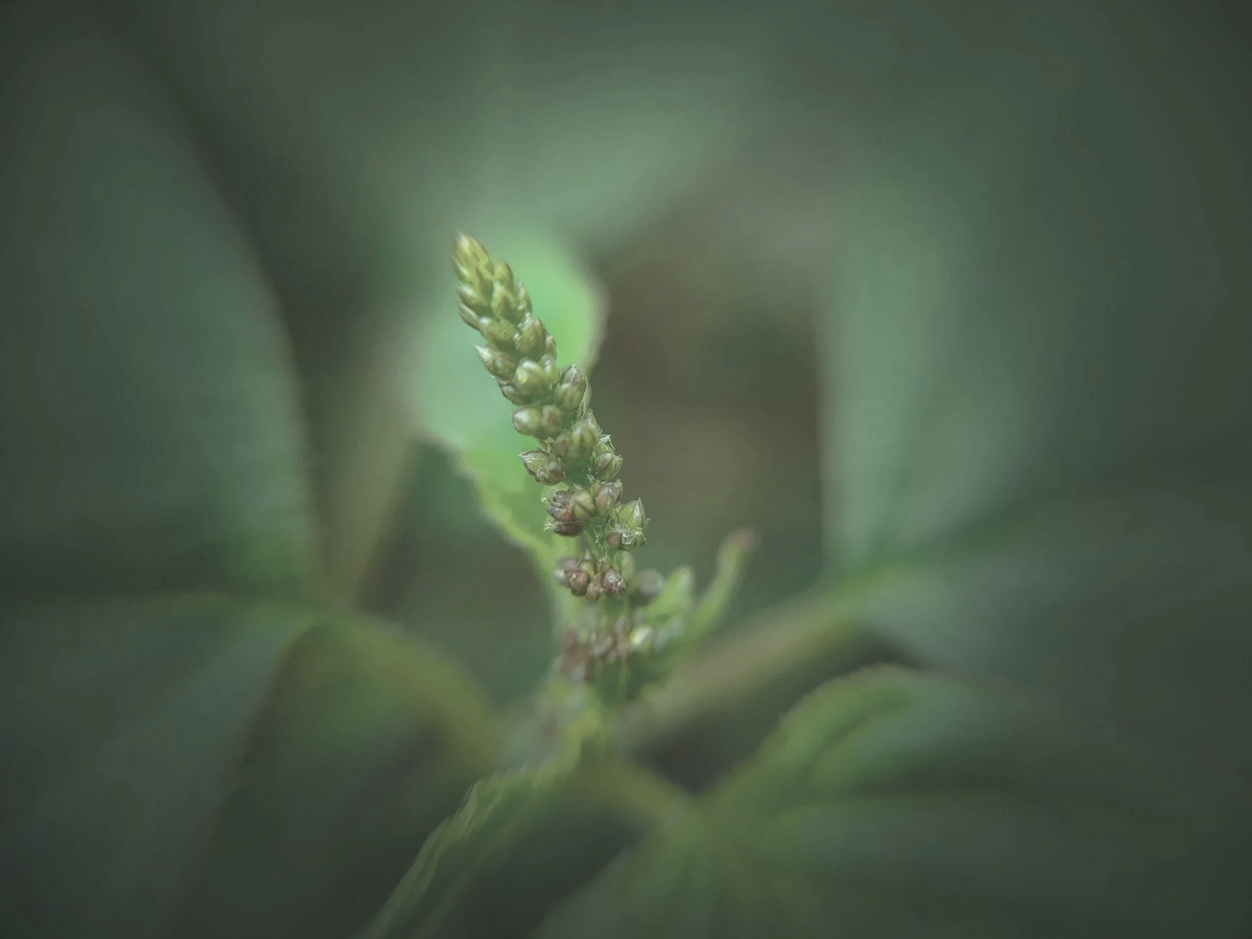 AYEUR Center for Fertility & Integrative Medicine