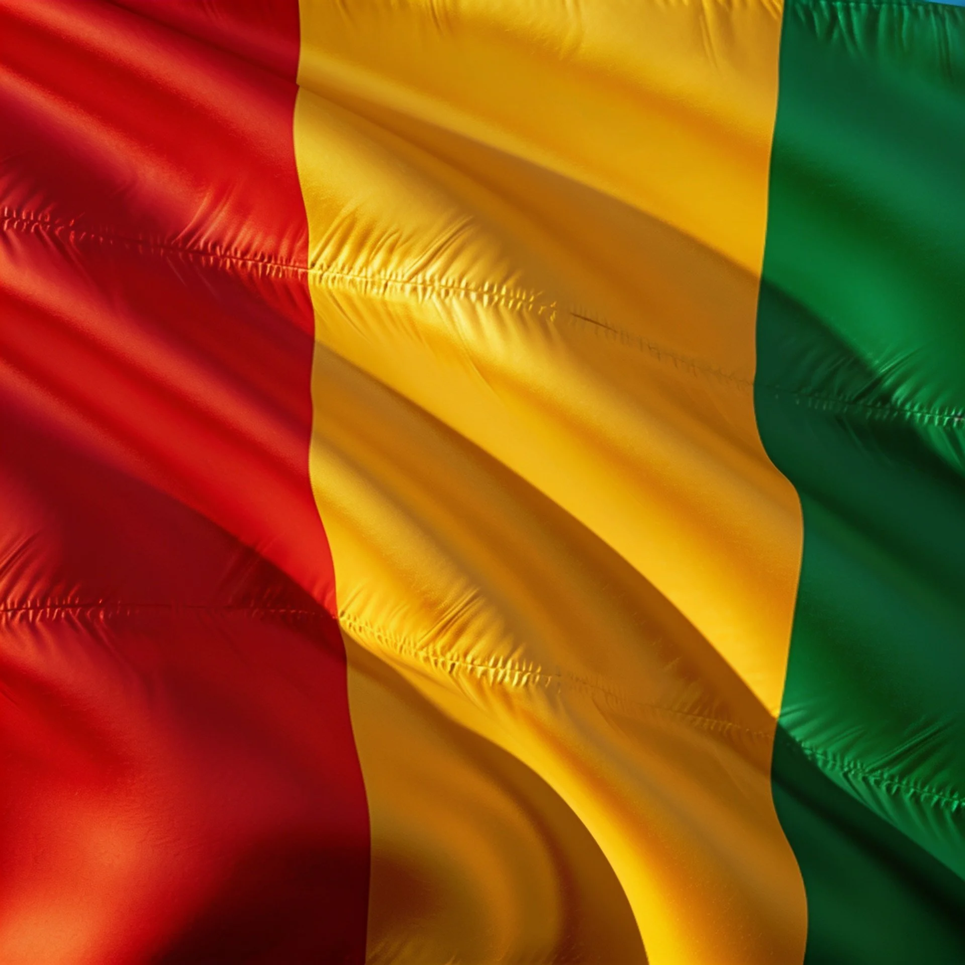 Guinea