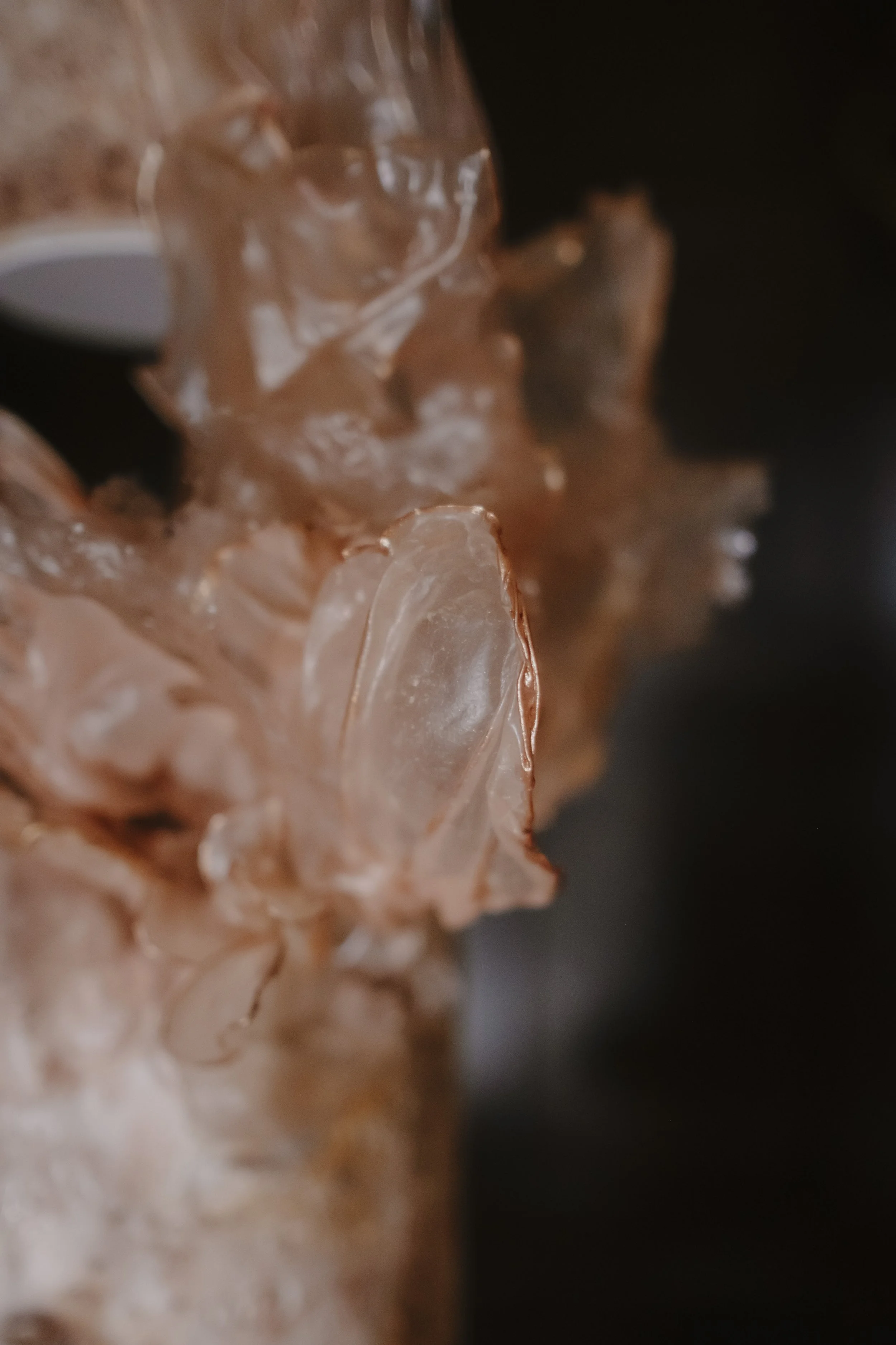 Close-up of translucent handcrafted rice paper petals on a contemporary luxury wedding cake with textured blush detailing at Achnagairn Castle.