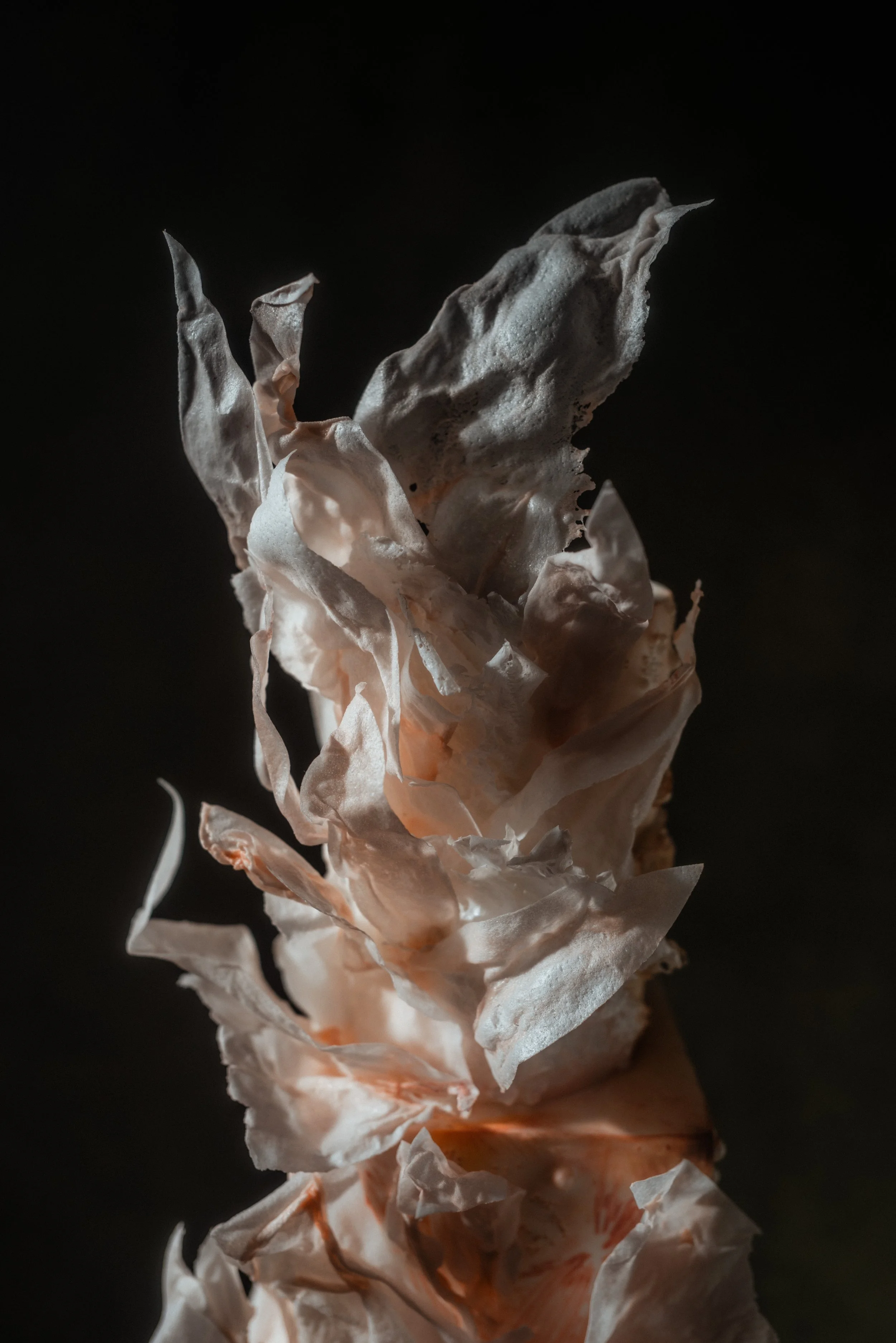 Close-up of a handcrafted wafer paper floral sculpture created for contemporary luxury wedding cake.