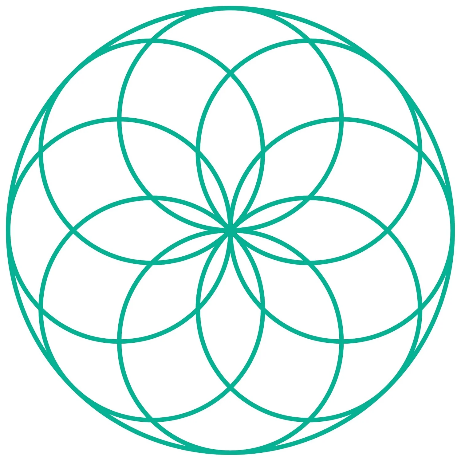 BODY MIND UNIVERSE