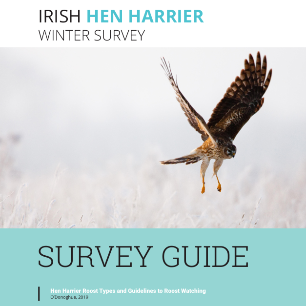Guide: Finding Roosts
