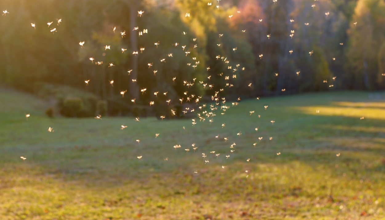 Professional hypnotherapist in Harpenden offering personalised therapeutic support